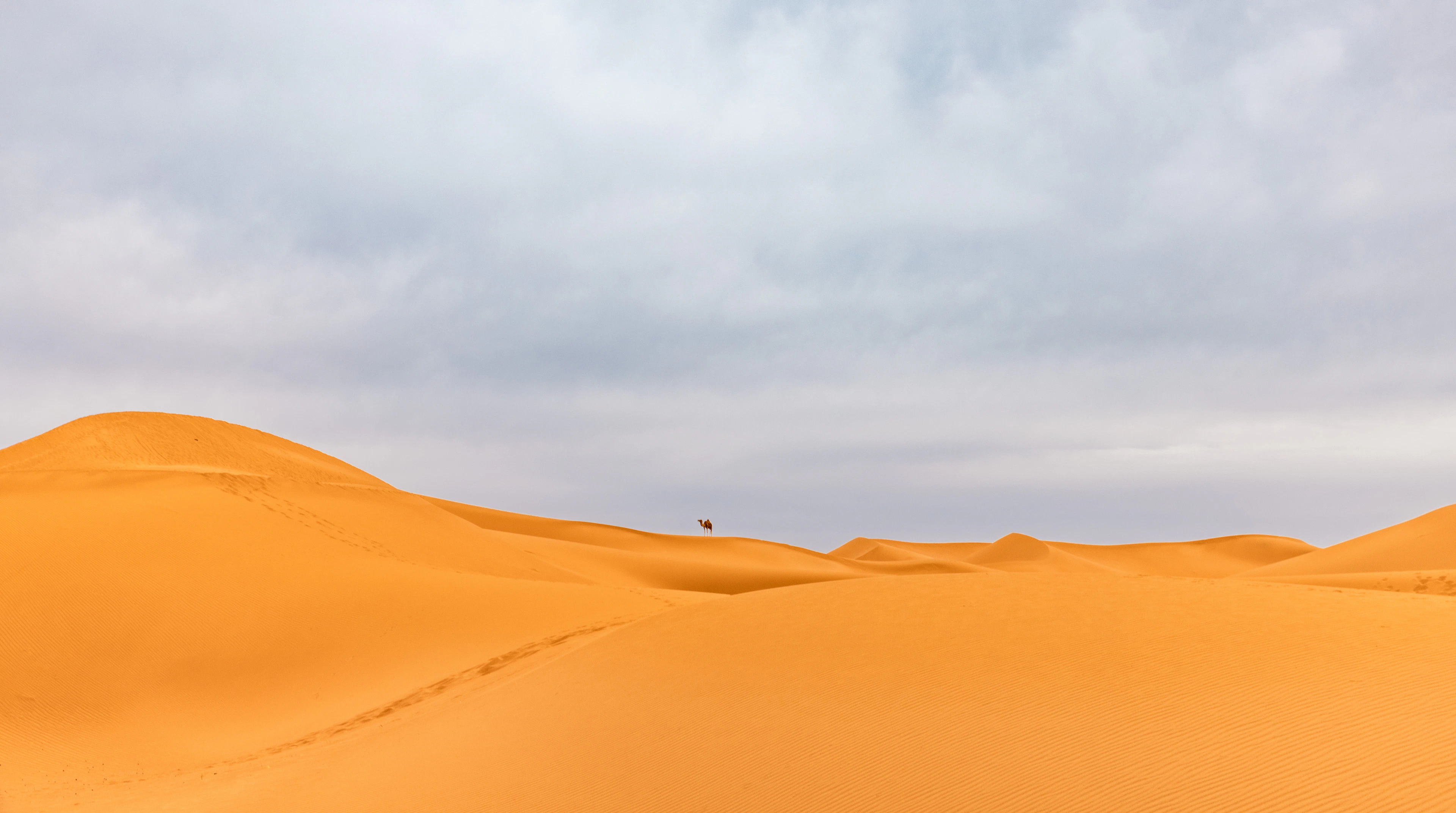 Sahara Desert – 2