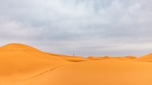 Vast golden sand dunes stretch across the landscape under a cloudy sky, creating a serene and expansive desert scene. A lone camel can be seen in the distance atop one of the dunes, emphasizing the scale and isolation of the environment.