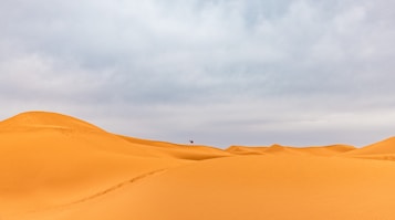 Vast golden sand dunes stretch across the landscape under a cloudy sky, creating a serene and expansive desert scene. A lone camel can be seen in the distance atop one of the dunes, emphasizing the scale and isolation of the environment.