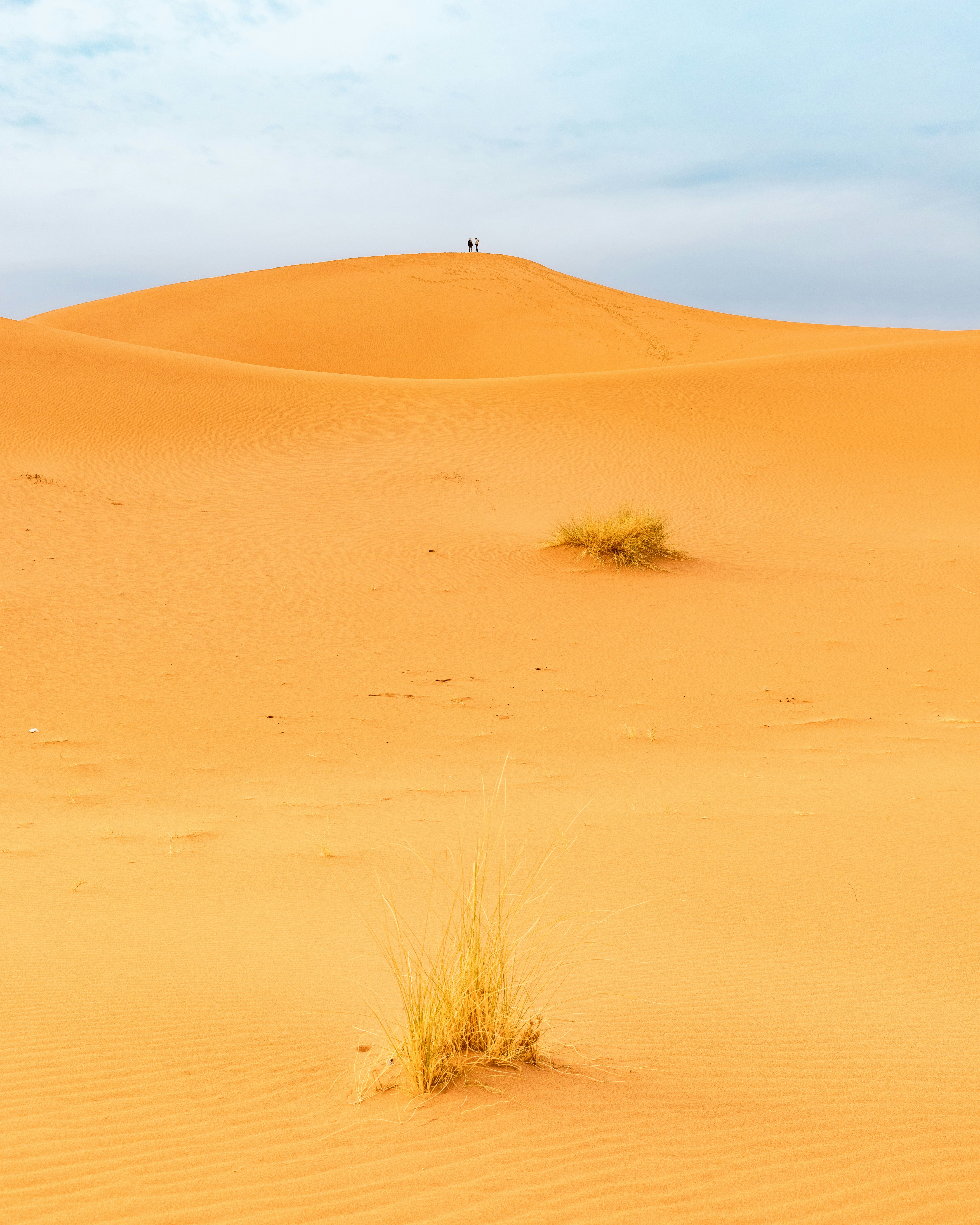 Photo by armandsbrants