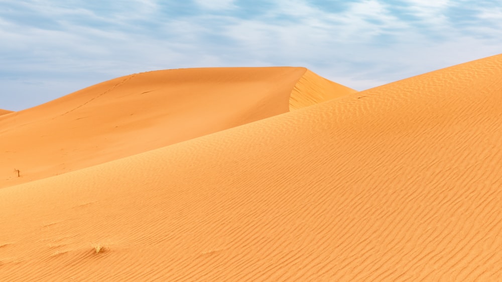 a person walking across a sandy field