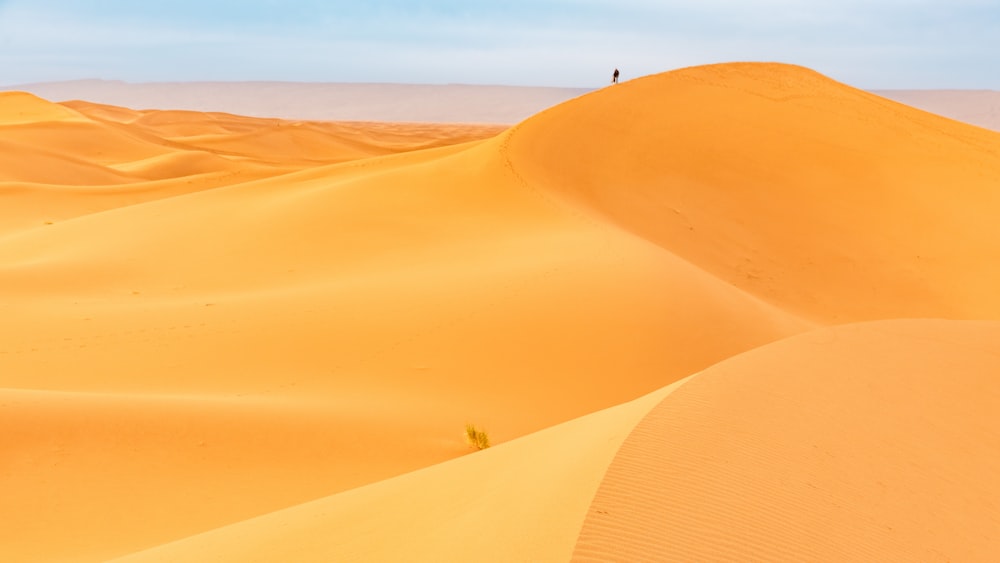 a person standing on top of a sand dune