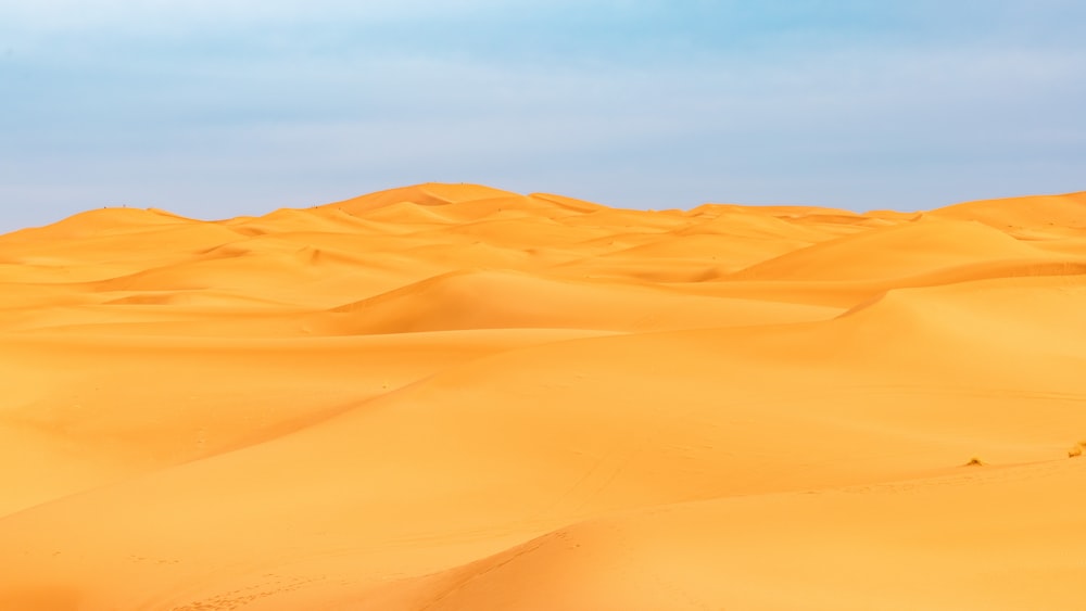 a large group of sand dunes in the desert