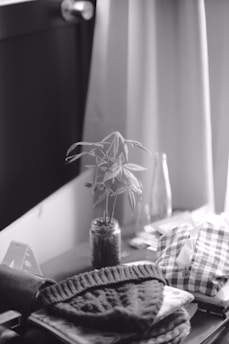 A cozy indoor scene with a table holding several items, including a small potted plant, a patterned fabric, some books or papers, and a knitted item. Light filters through curtains, casting gentle shadows.