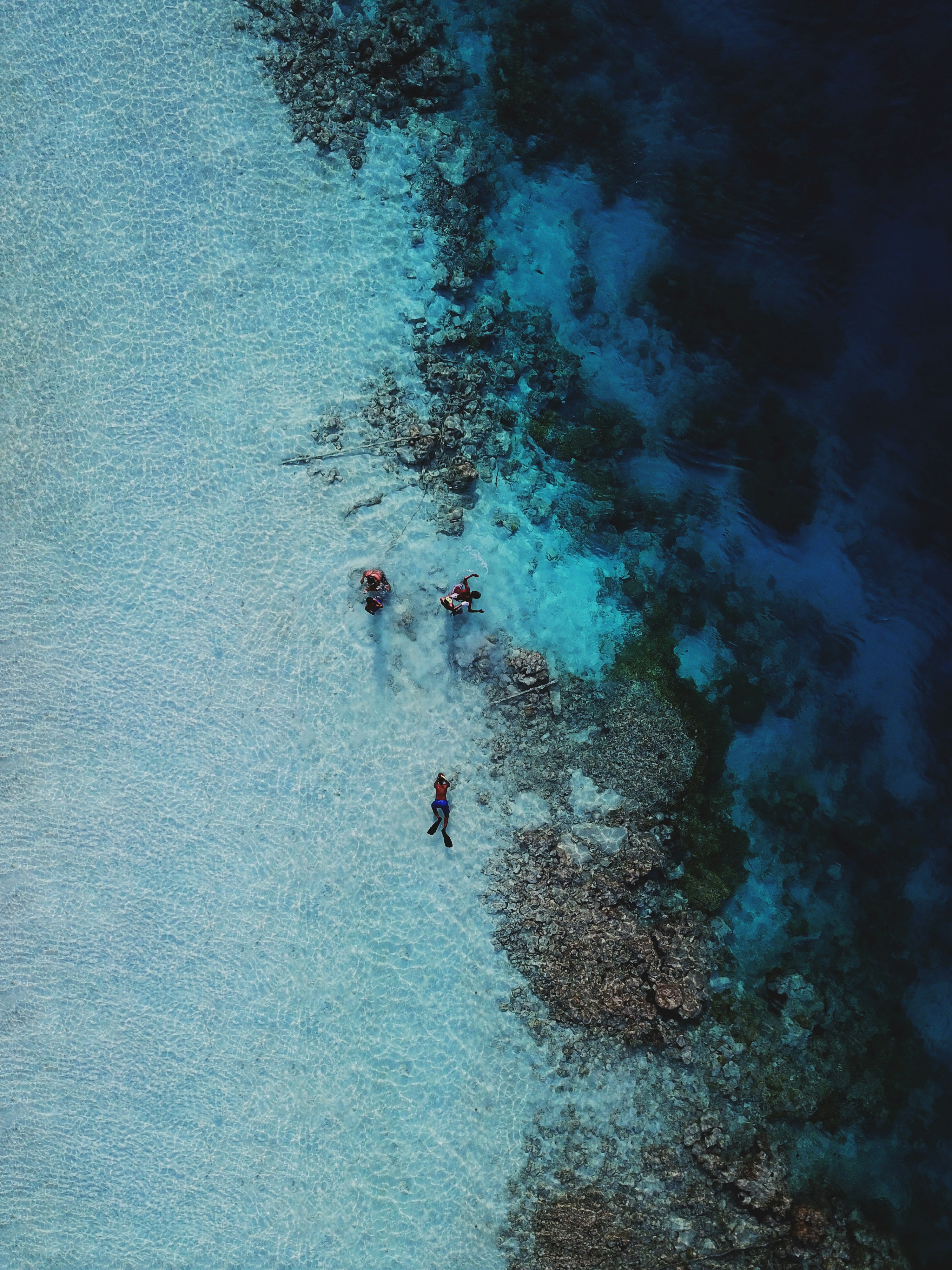 a group of people standing on top of a beach next to the ocean