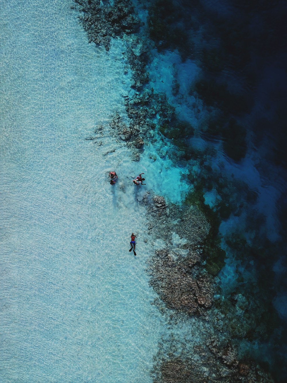 a group of people standing on top of a beach next to the ocean