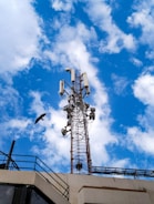 A tall communication tower laden with various antennas and equipment stands against a vivid blue sky scattered with white clouds. Below the tower, part of a building's roof with railings is visible. A bird is in flight near the tower, providing a sense of scale and motion to the scene.