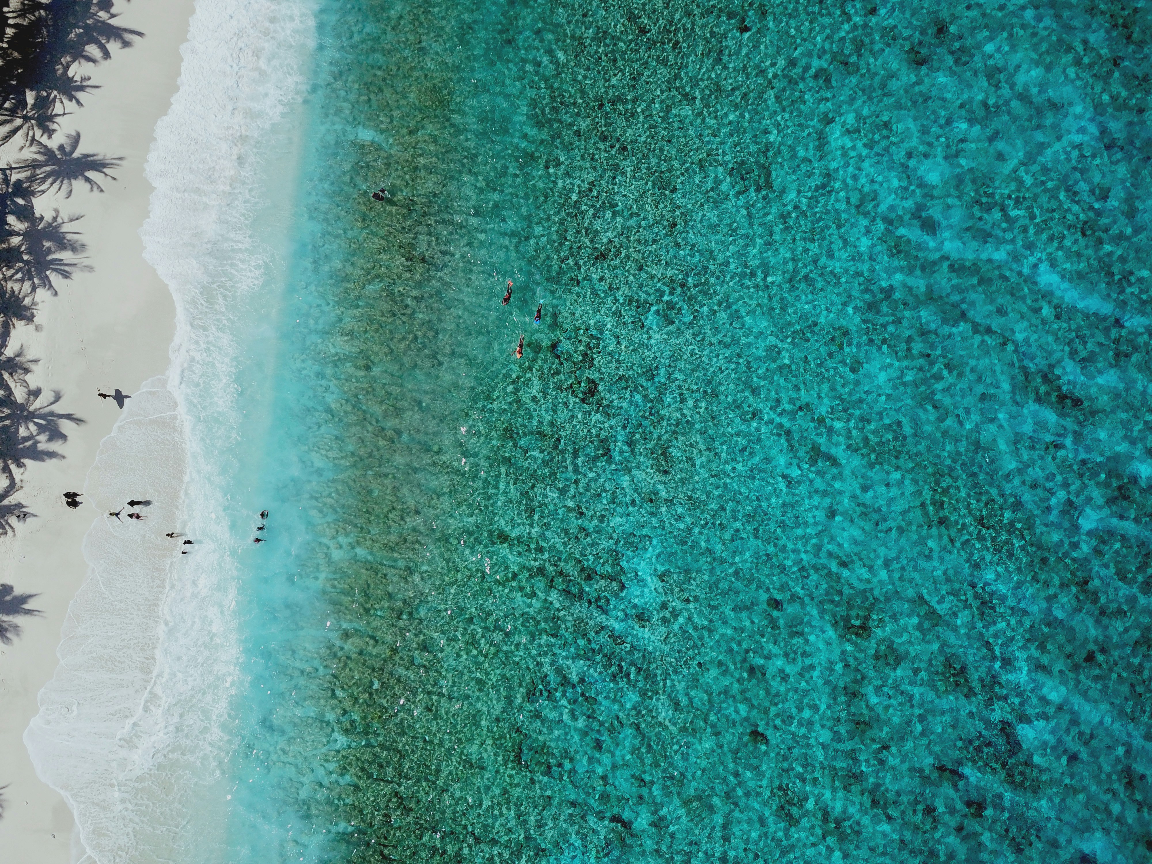 Photo by ahmedd_saalim