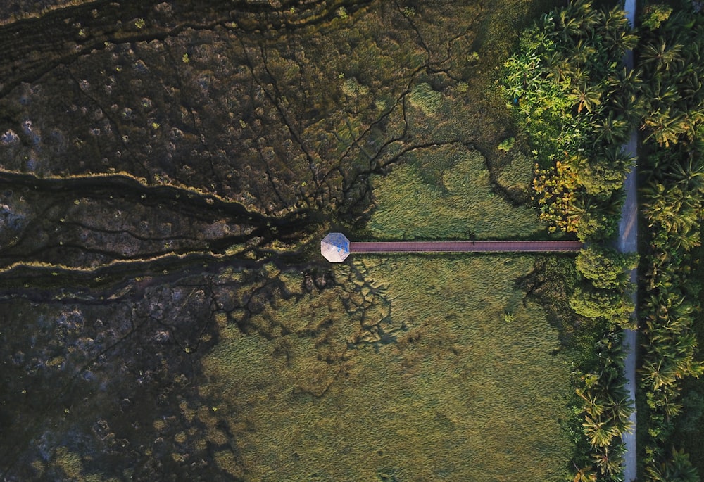 an aerial view of a road surrounded by trees