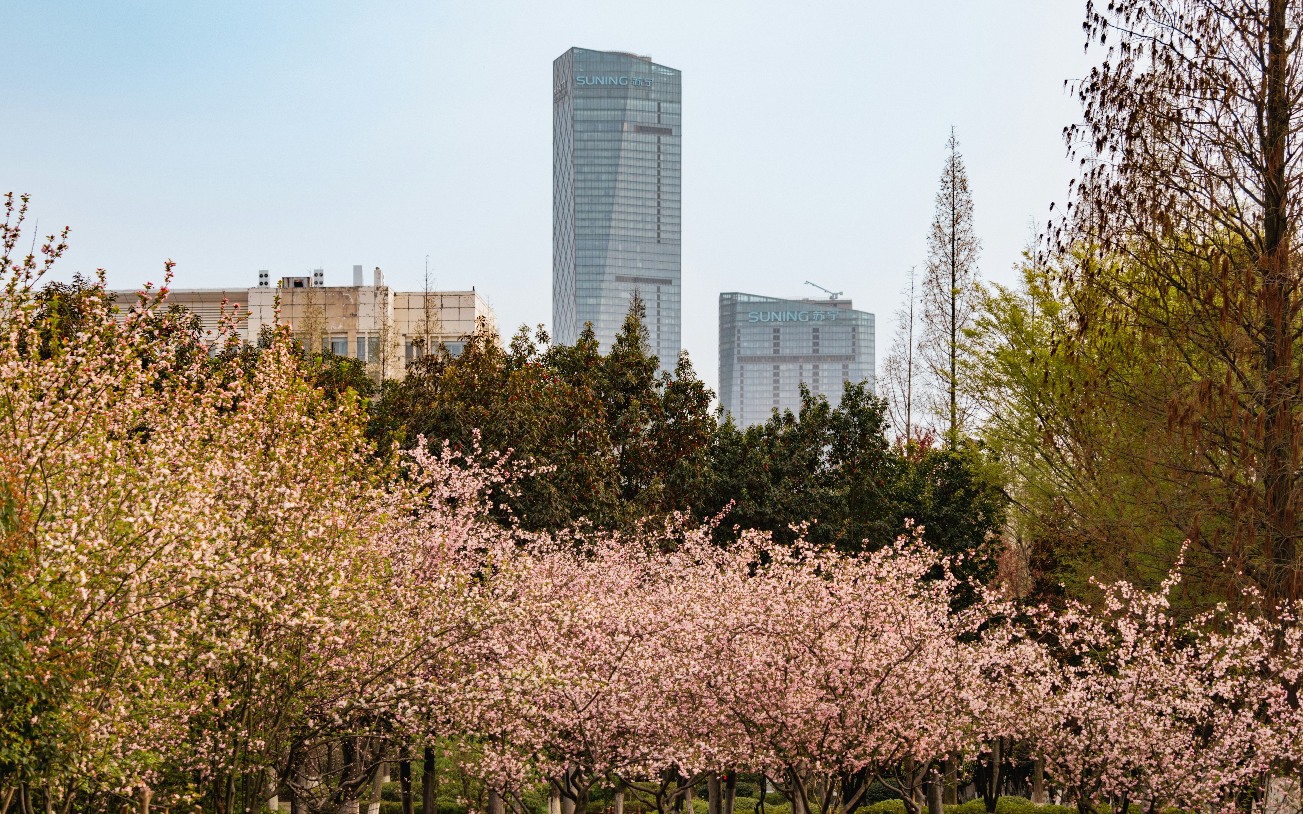 Photo by chris_pixel