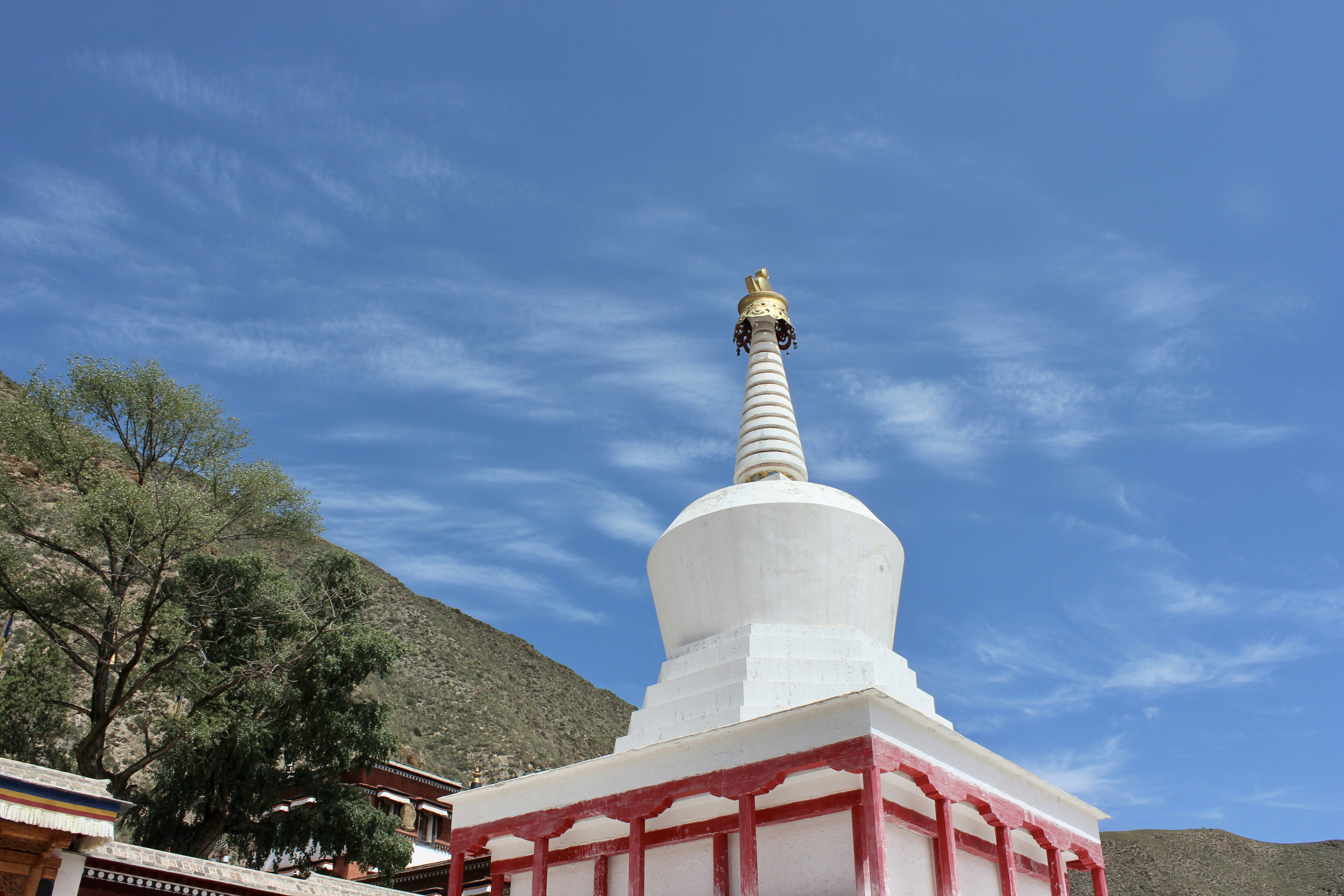 2. 新たな鍼灸治療法、クマ解消への具体的なステップとは？