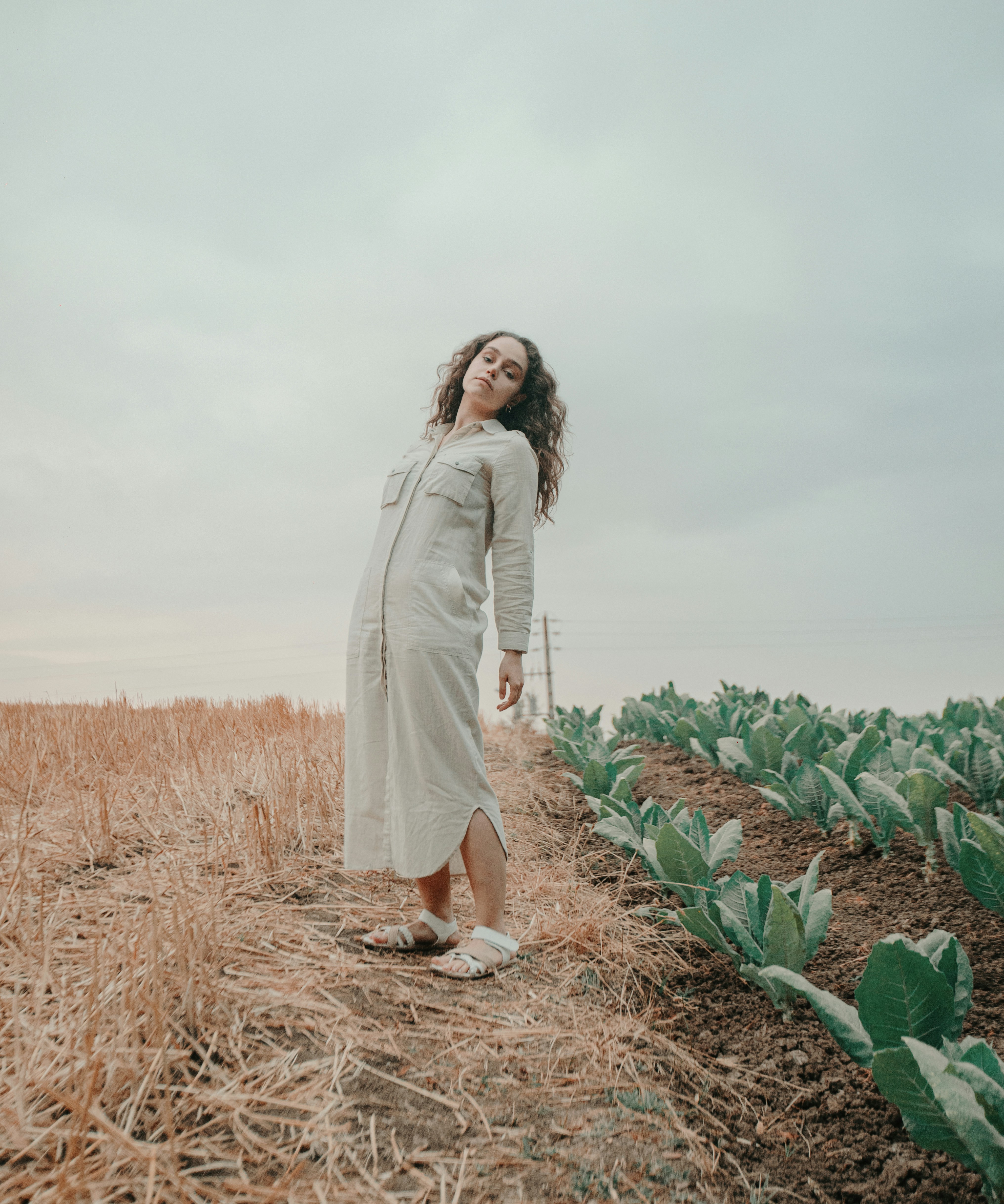 Photo by shayan_rostami