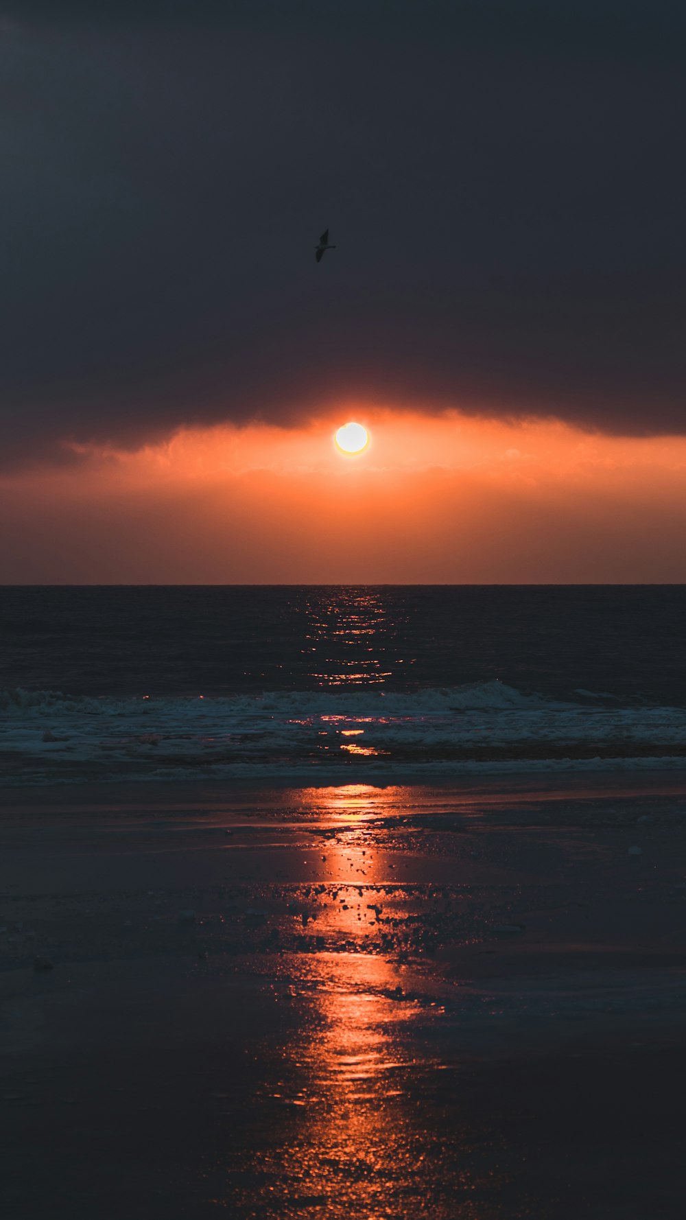 a bird flying over the ocean at sunset