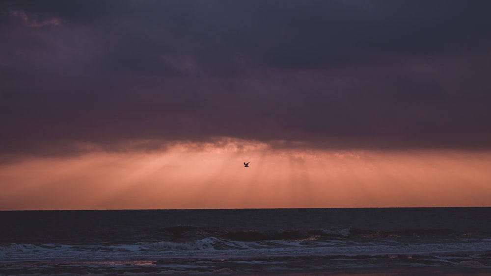 a bird flying over the ocean under a cloudy sky