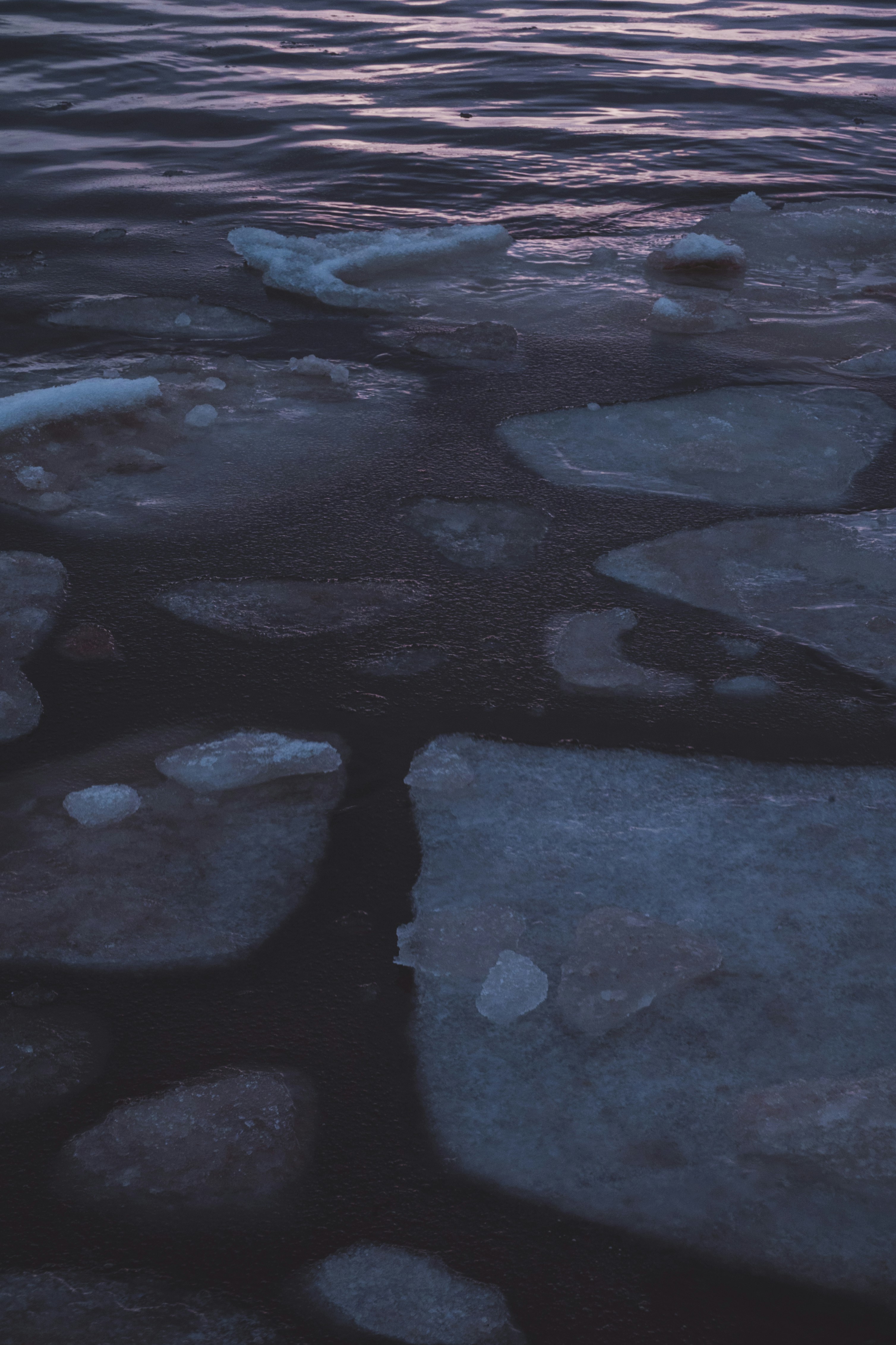 Photo by peek_a_boo_who