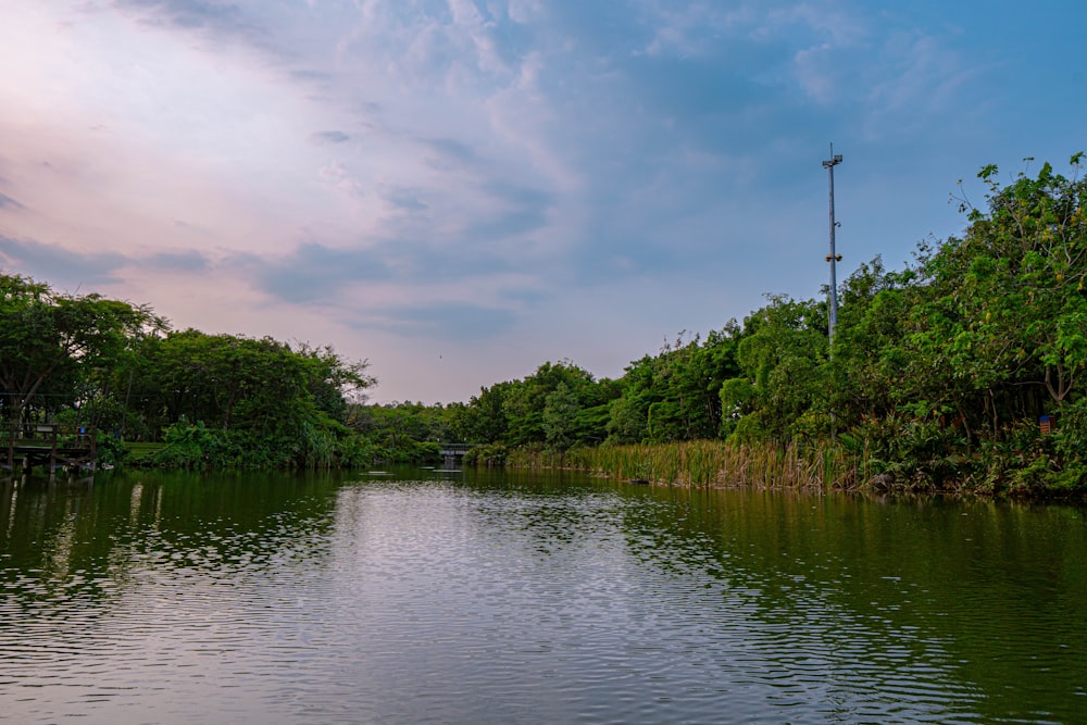 a body of water surrounded by lush green trees