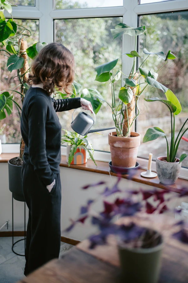 Pessoa regando plantas perto da janela