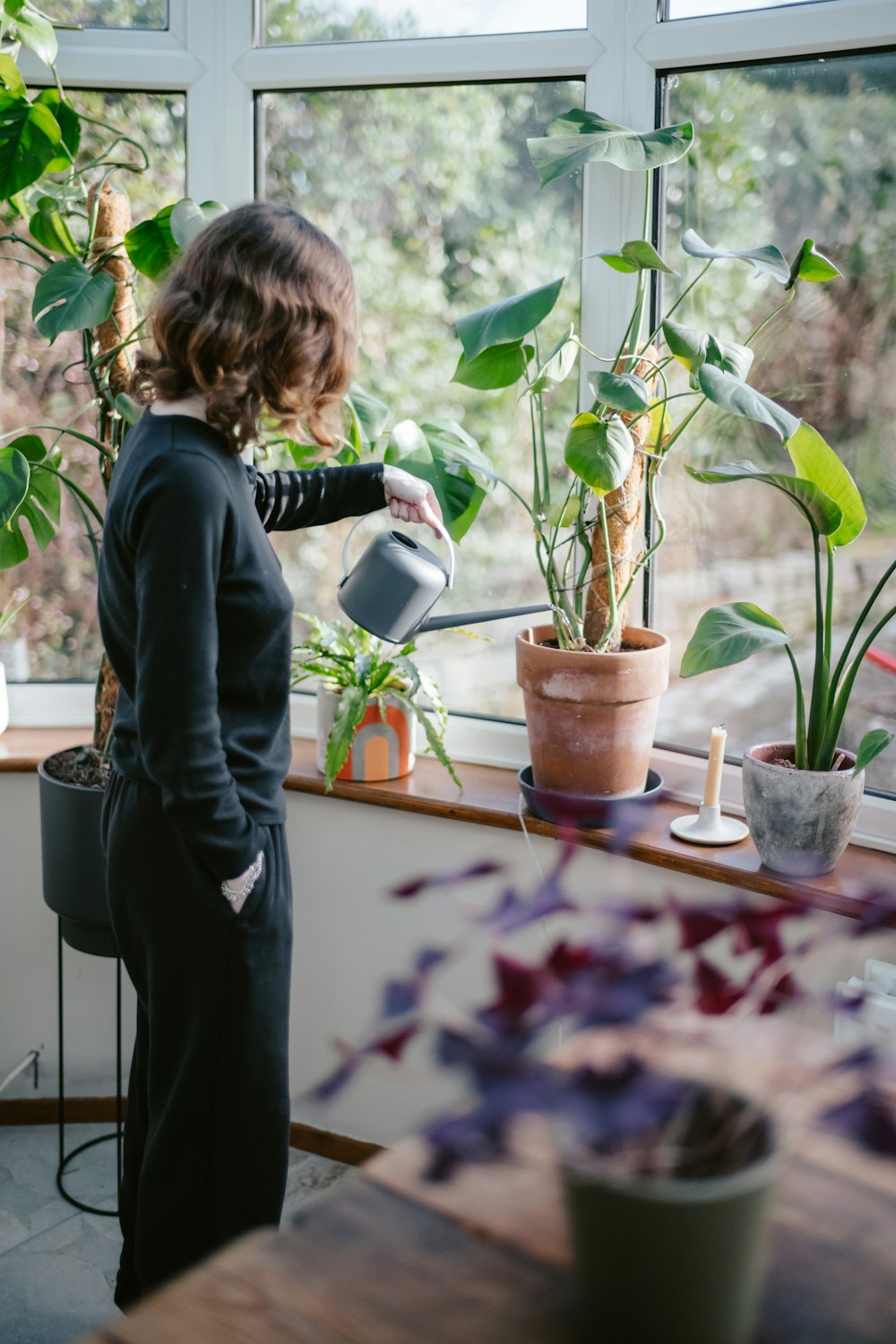 a woman watering plants in a window sill