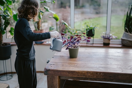 a woman watering a potted plant in a greenhouse
