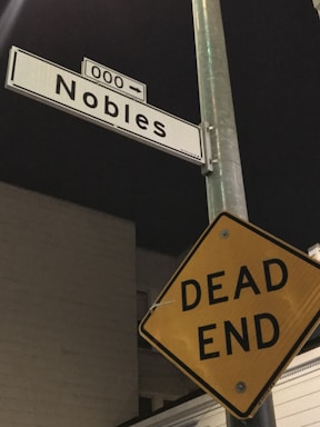 A street sign displaying 'Nobles' with another sign below it indicating 'DEAD END' against a night sky backdrop. The Nobles sign is rectangular and white with black text, while the dead end sign is a yellow diamond with black text. Both signs are mounted on a metal pole.