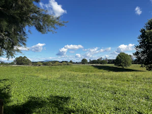 A peaceful countryside lot with green grass and distant trees under a bright blue sky.