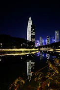 An elegant city skyline at night with subtle lighting, representing global real estate investments.