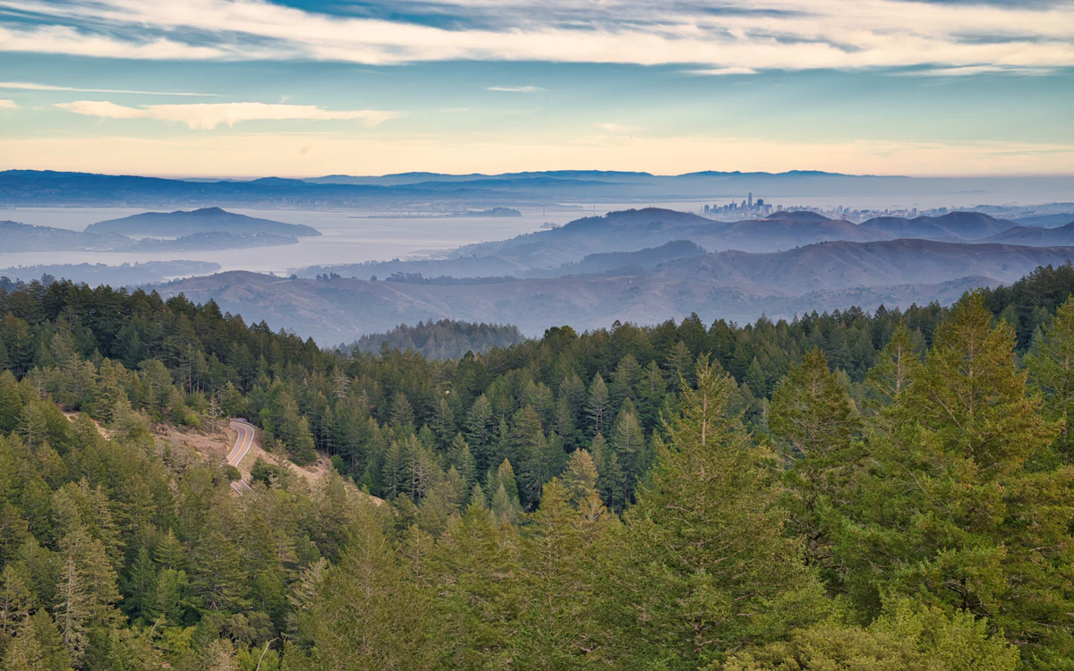 Forested slopes on Mount Tamalpais, with hills fading into haze beyond