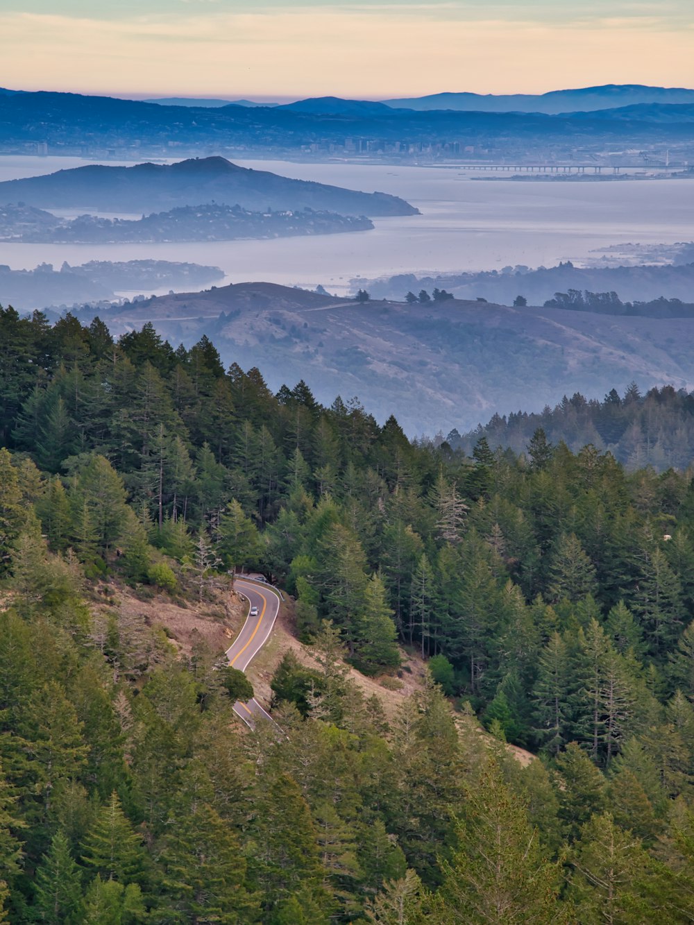 a winding road in the middle of a forest