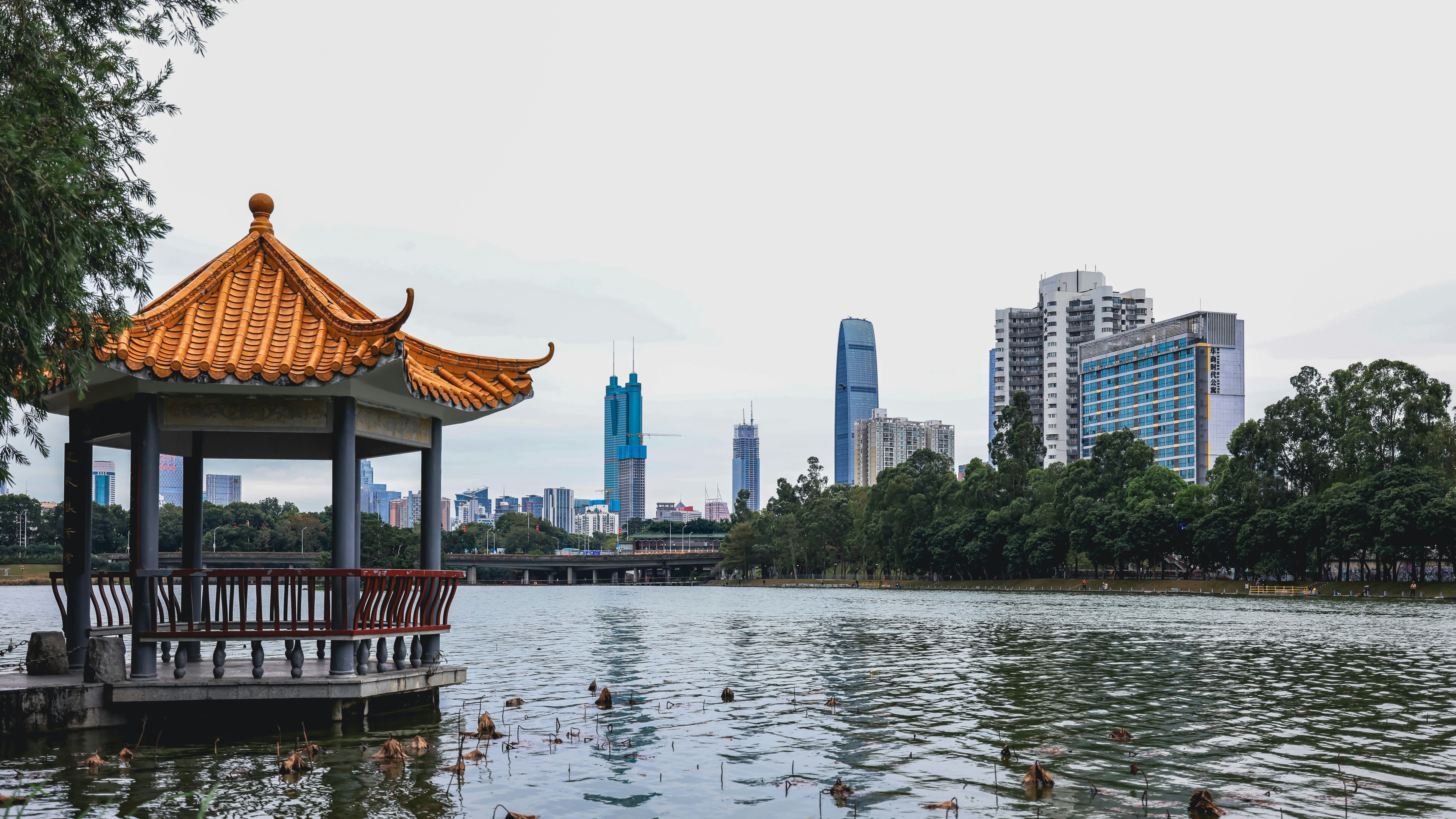 Photo by dickenslin76