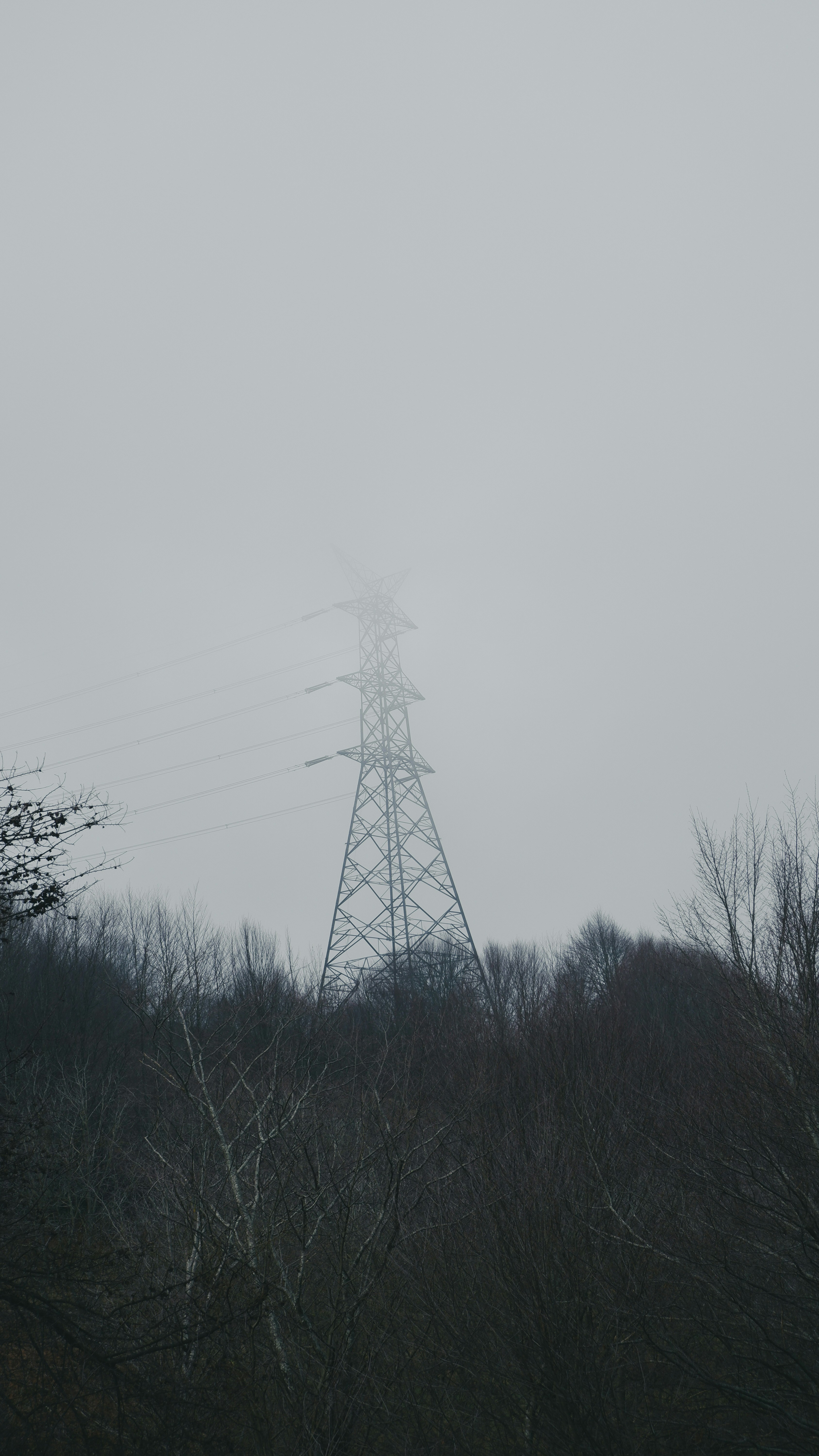 Photo by burakdonertas
