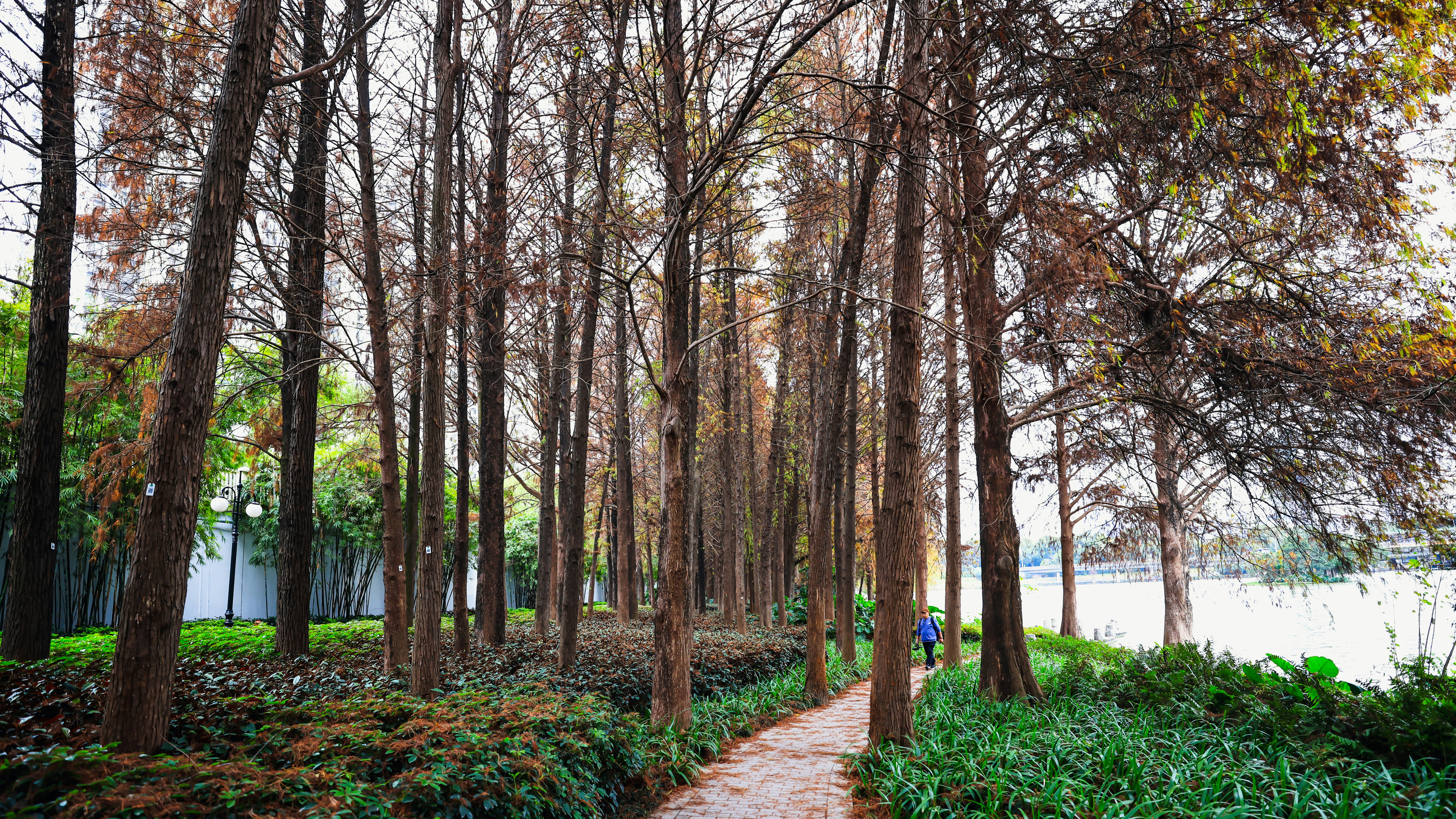 Photo by dickenslin76