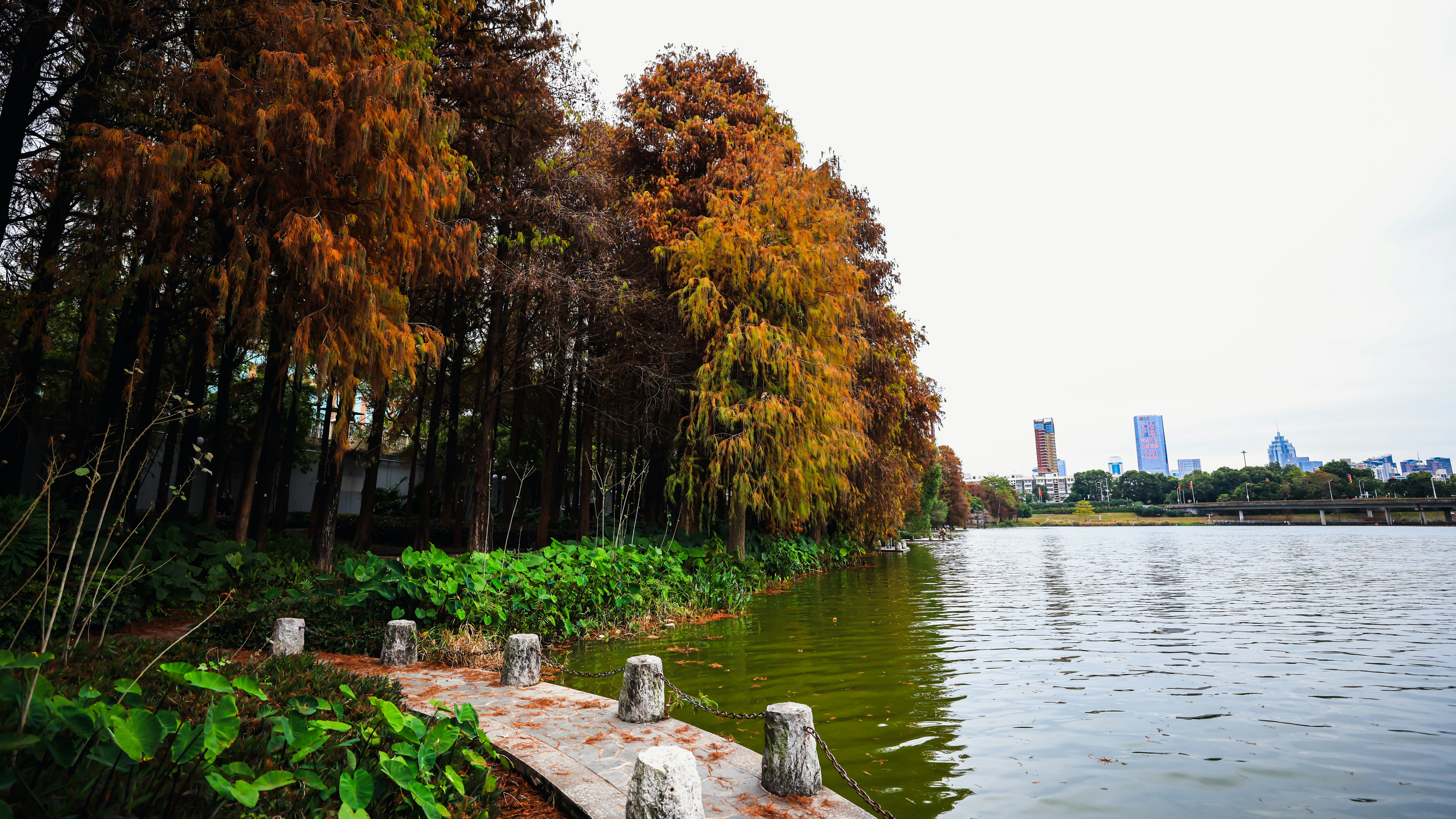 Photo by dickenslin76