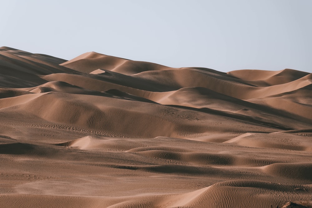 사막에있는 모래 언덕의 큰 그룹