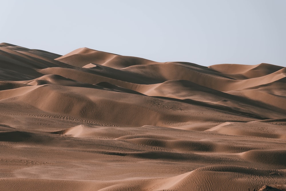 Un grande gruppo di dune di sabbia nel deserto