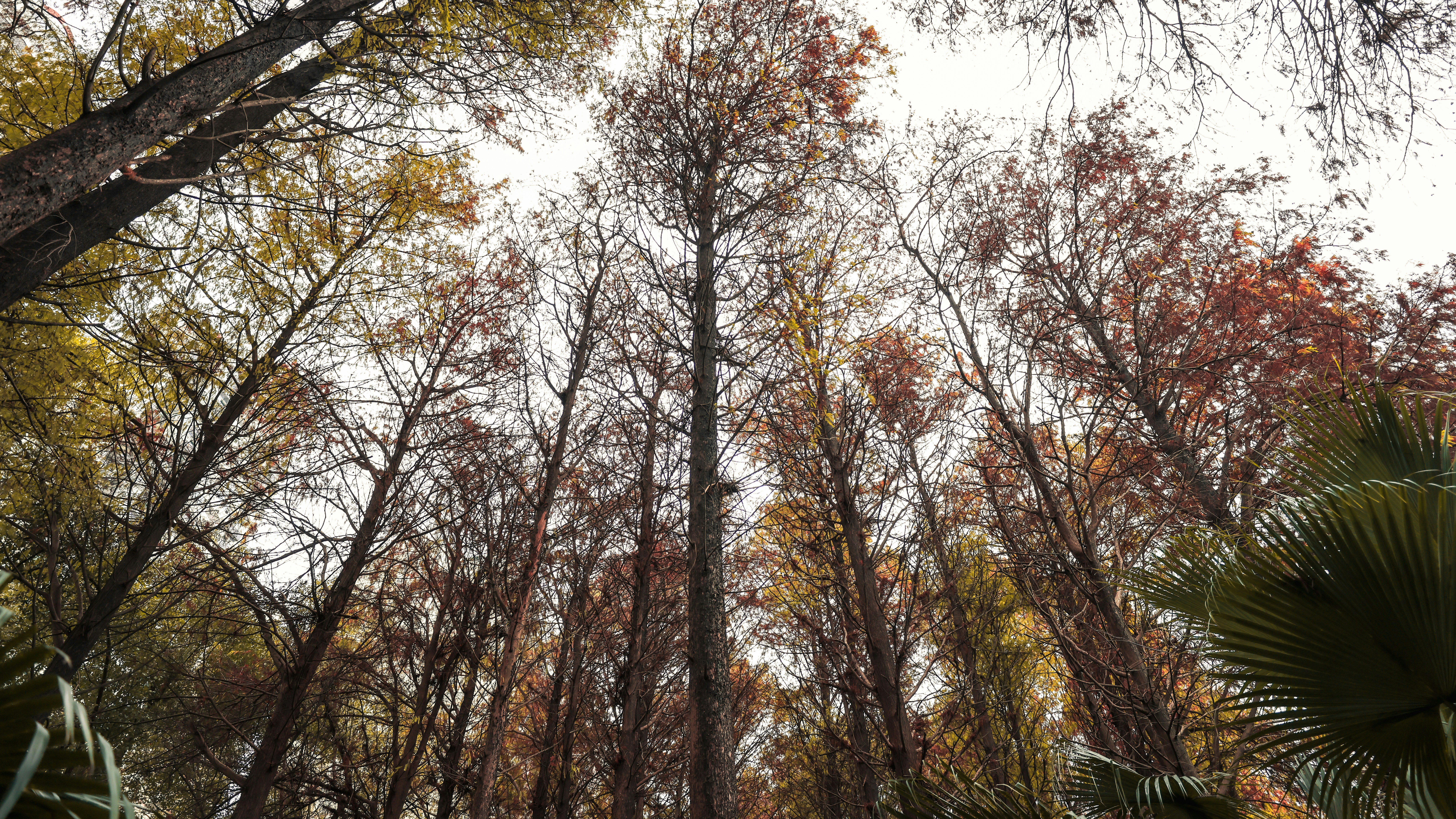 Photo by dickenslin76