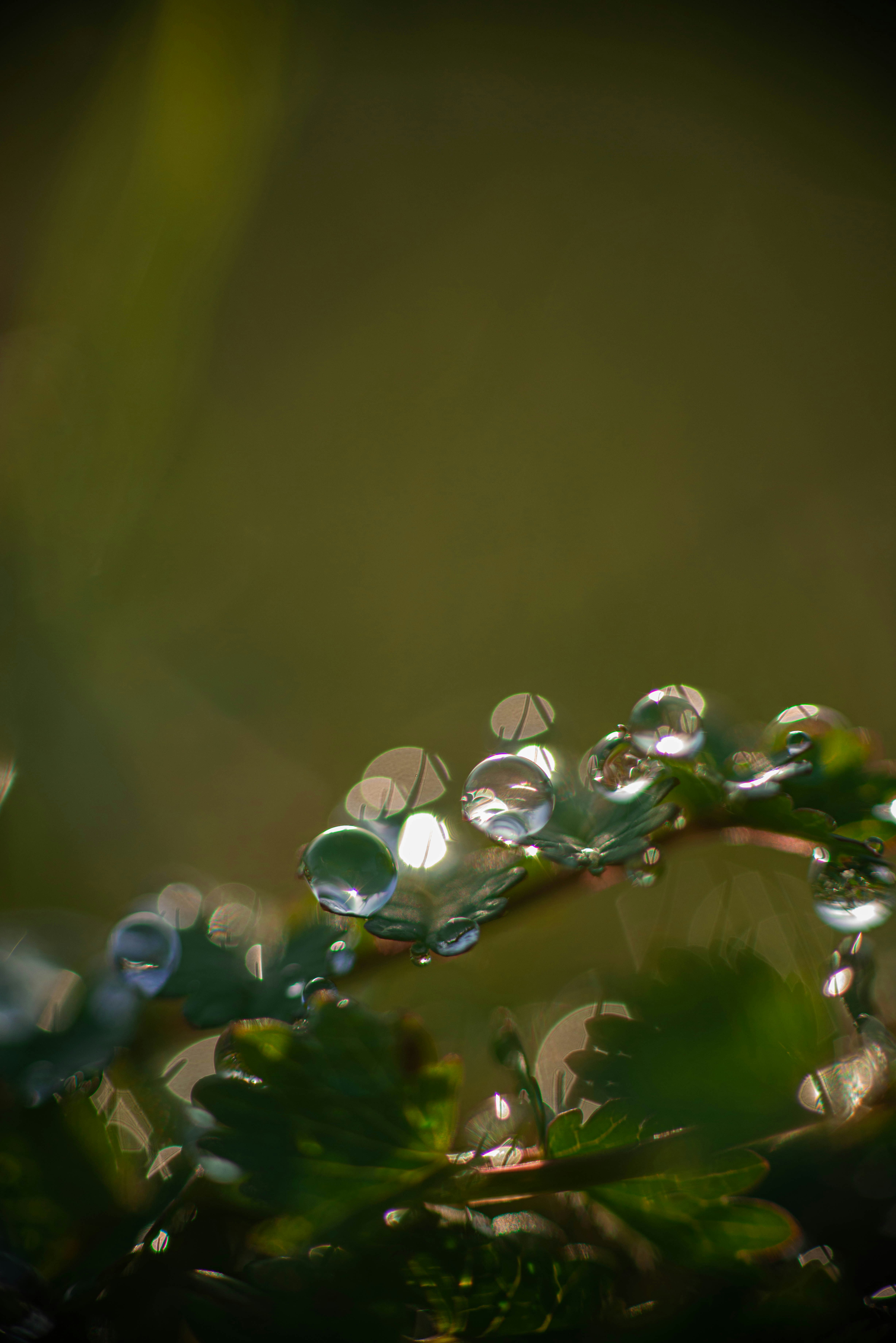 clean water droplets, wallpaper, UV Water Purification: How to Treat Water 2