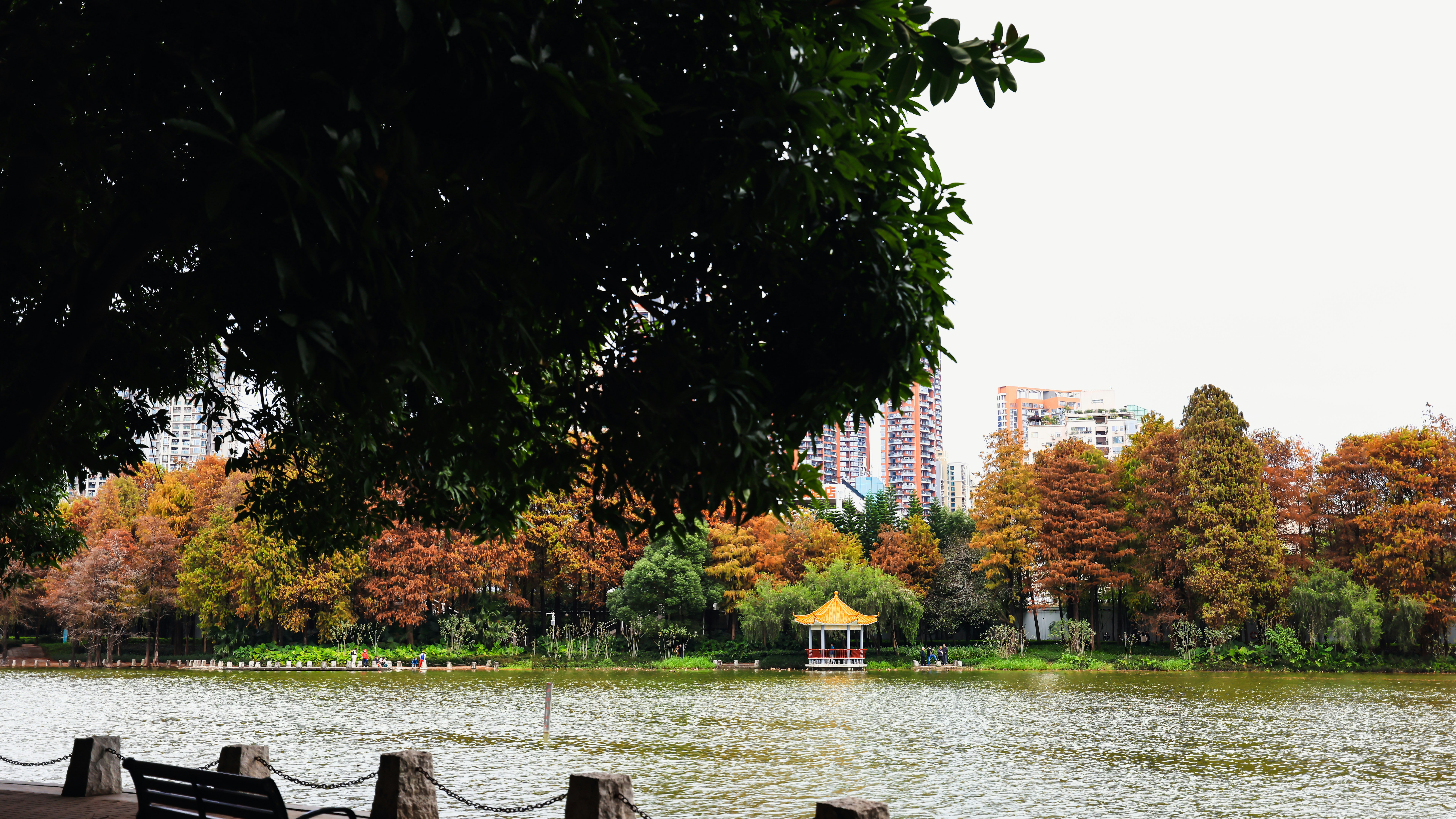 Photo by dickenslin76