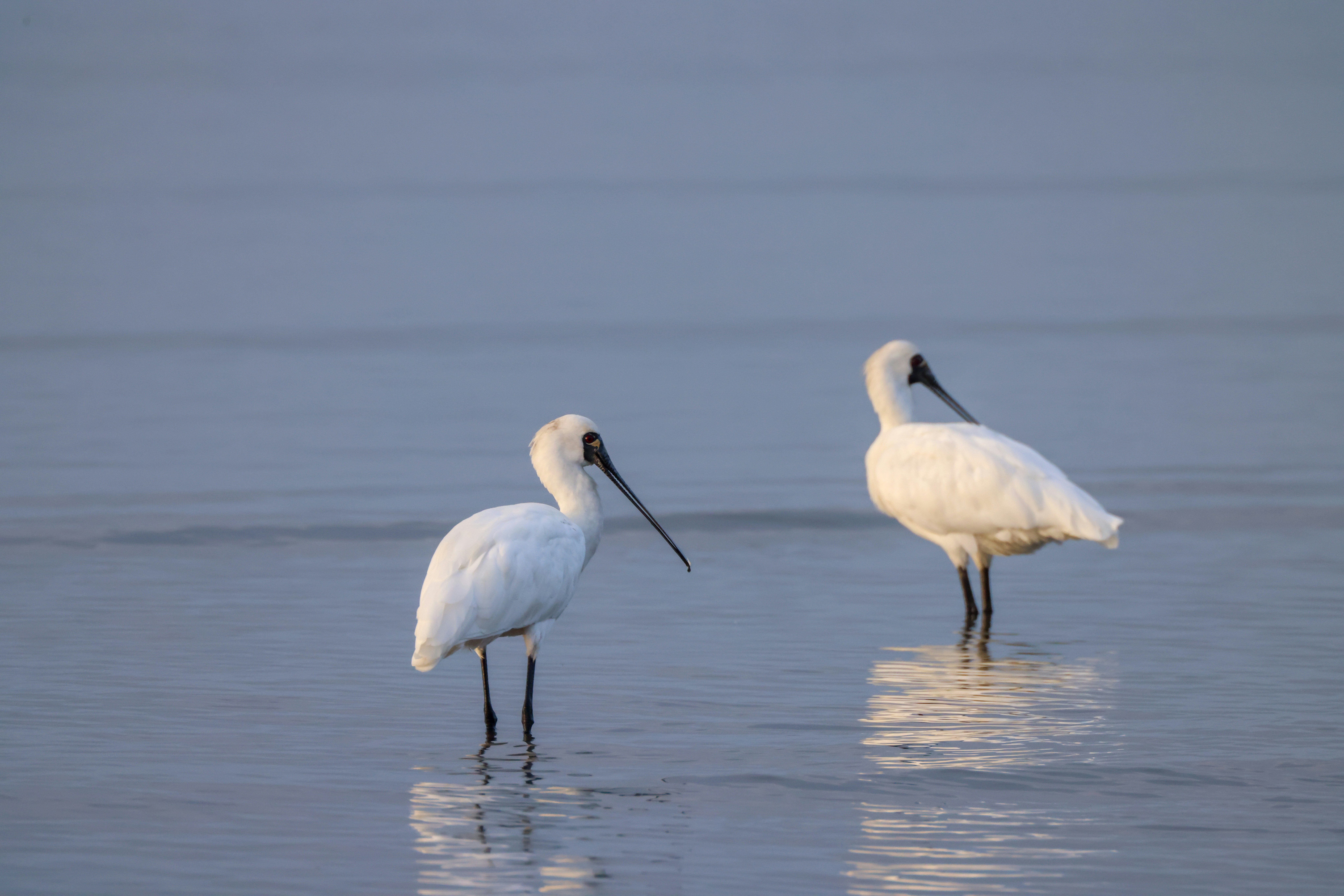 Photo by dickenslin76