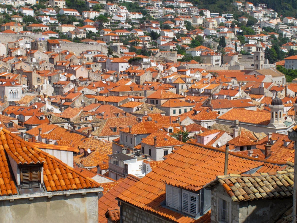 a large group of buildings with orange roofs