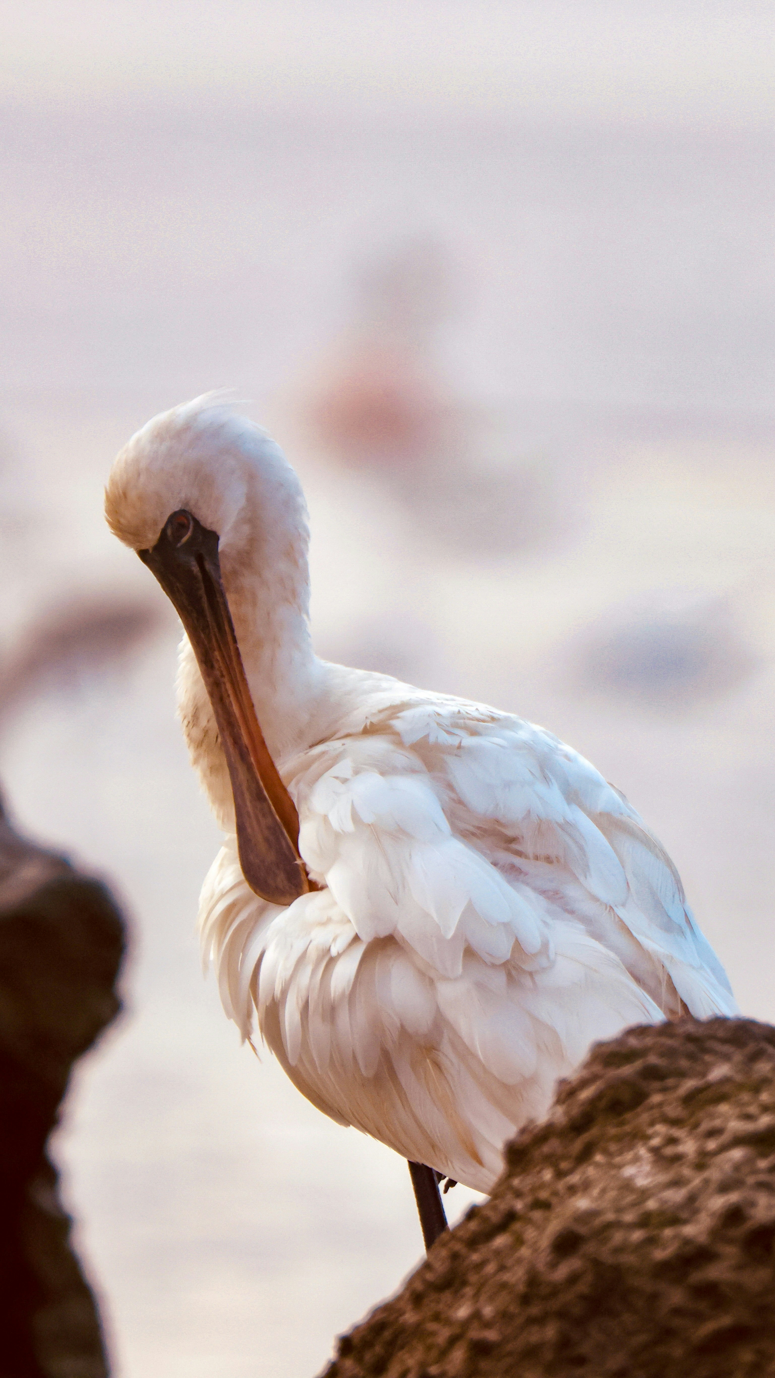 Photo by dickenslin76