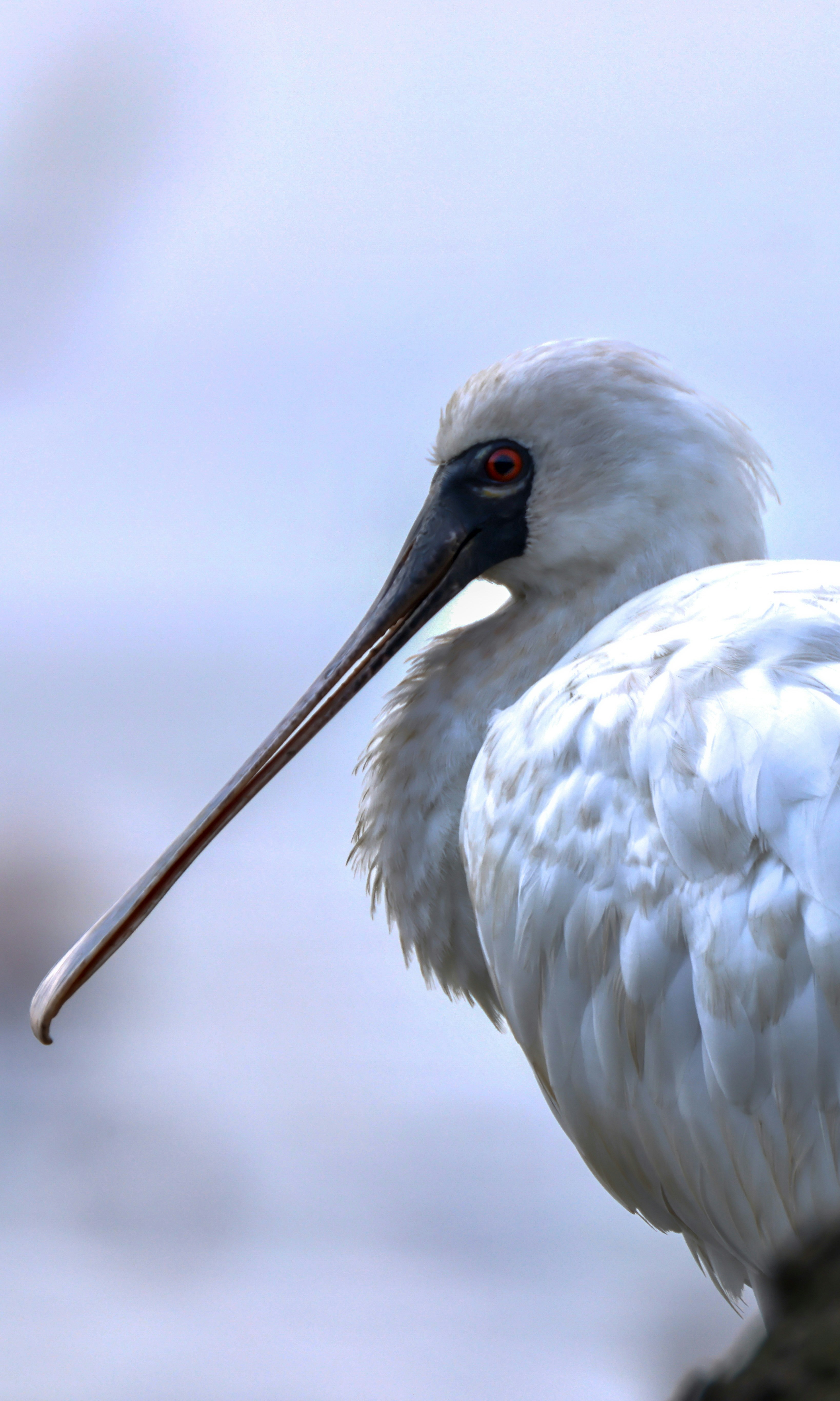 Photo by dickenslin76