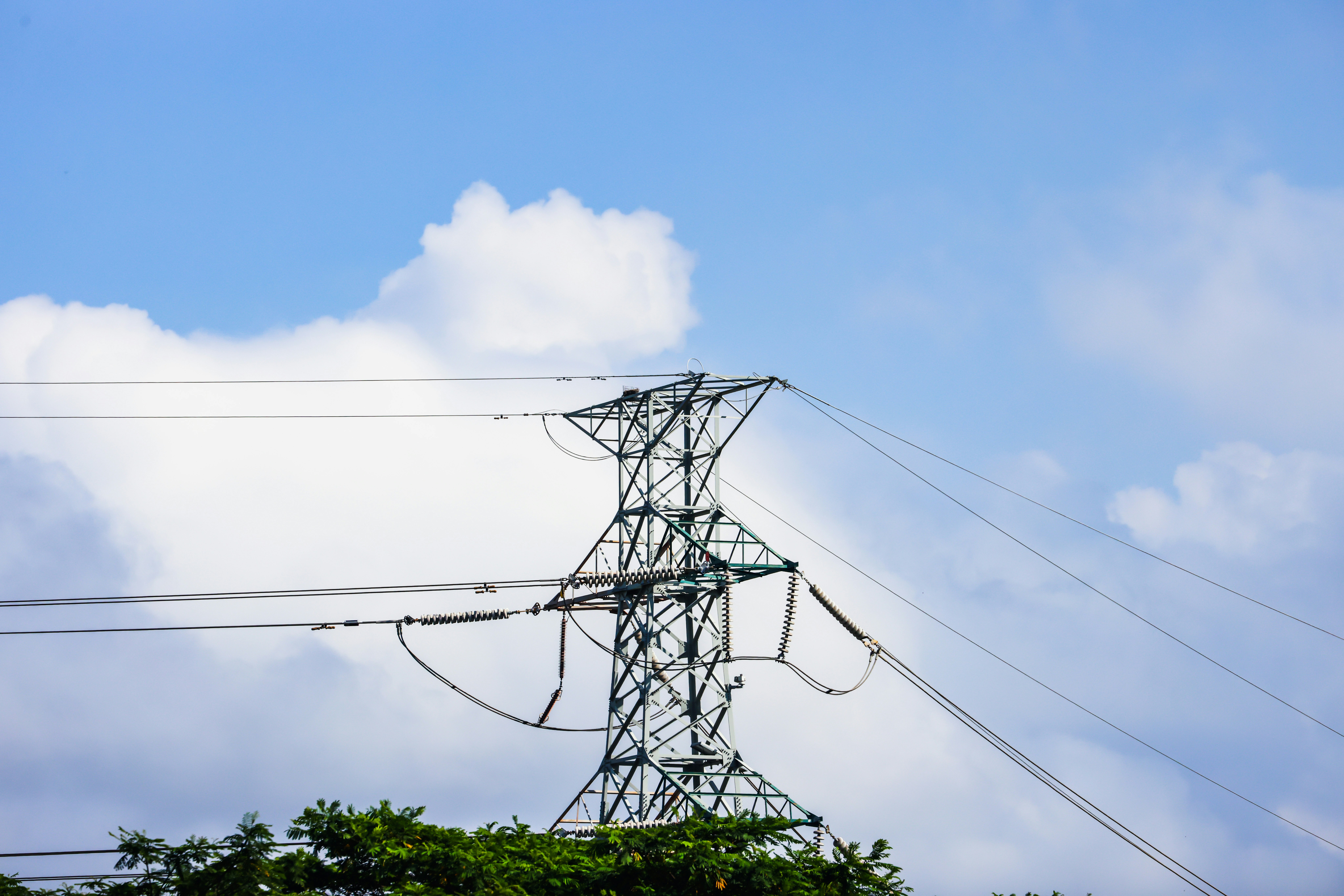 Photo by dickenslin76