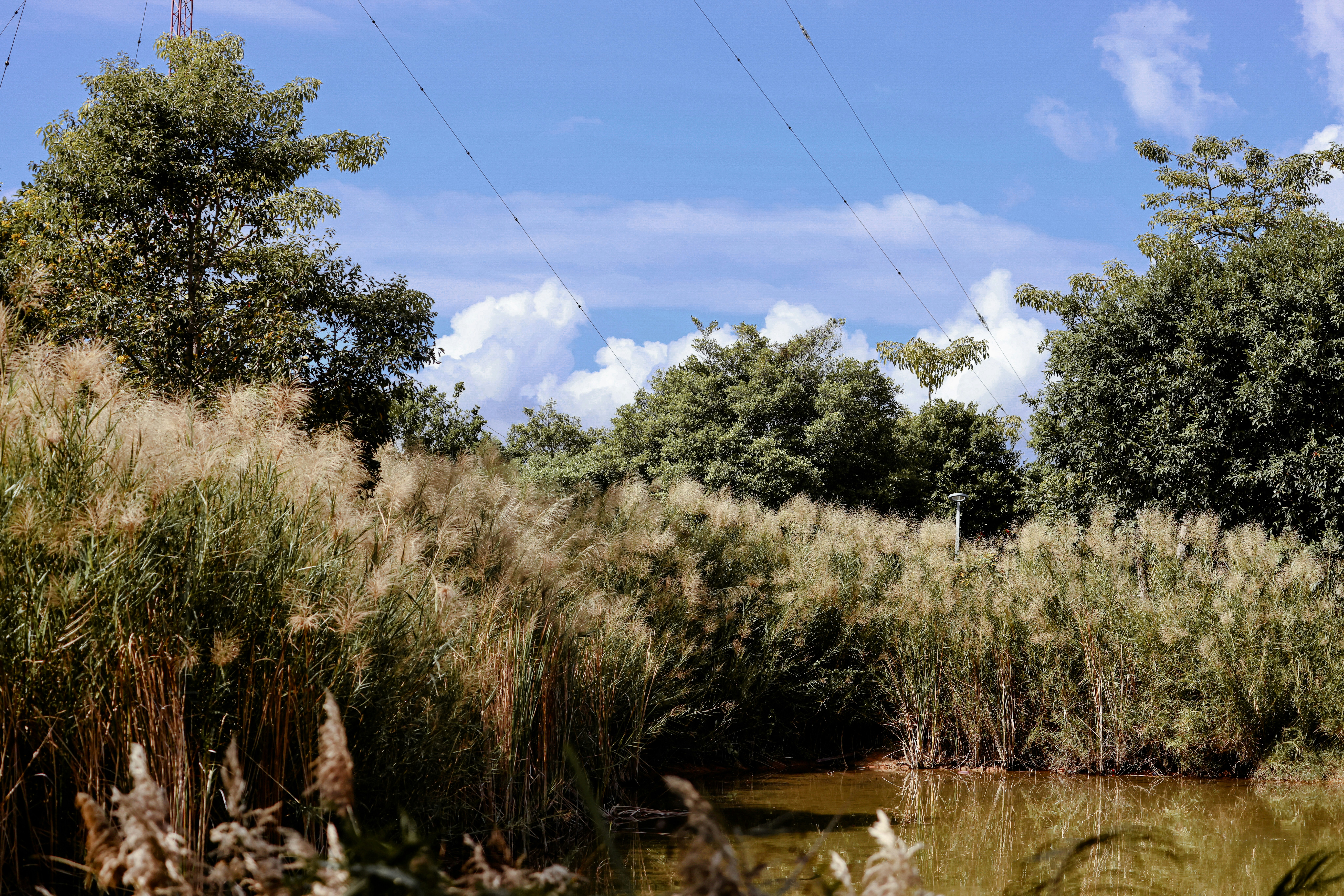 Photo by dickenslin76