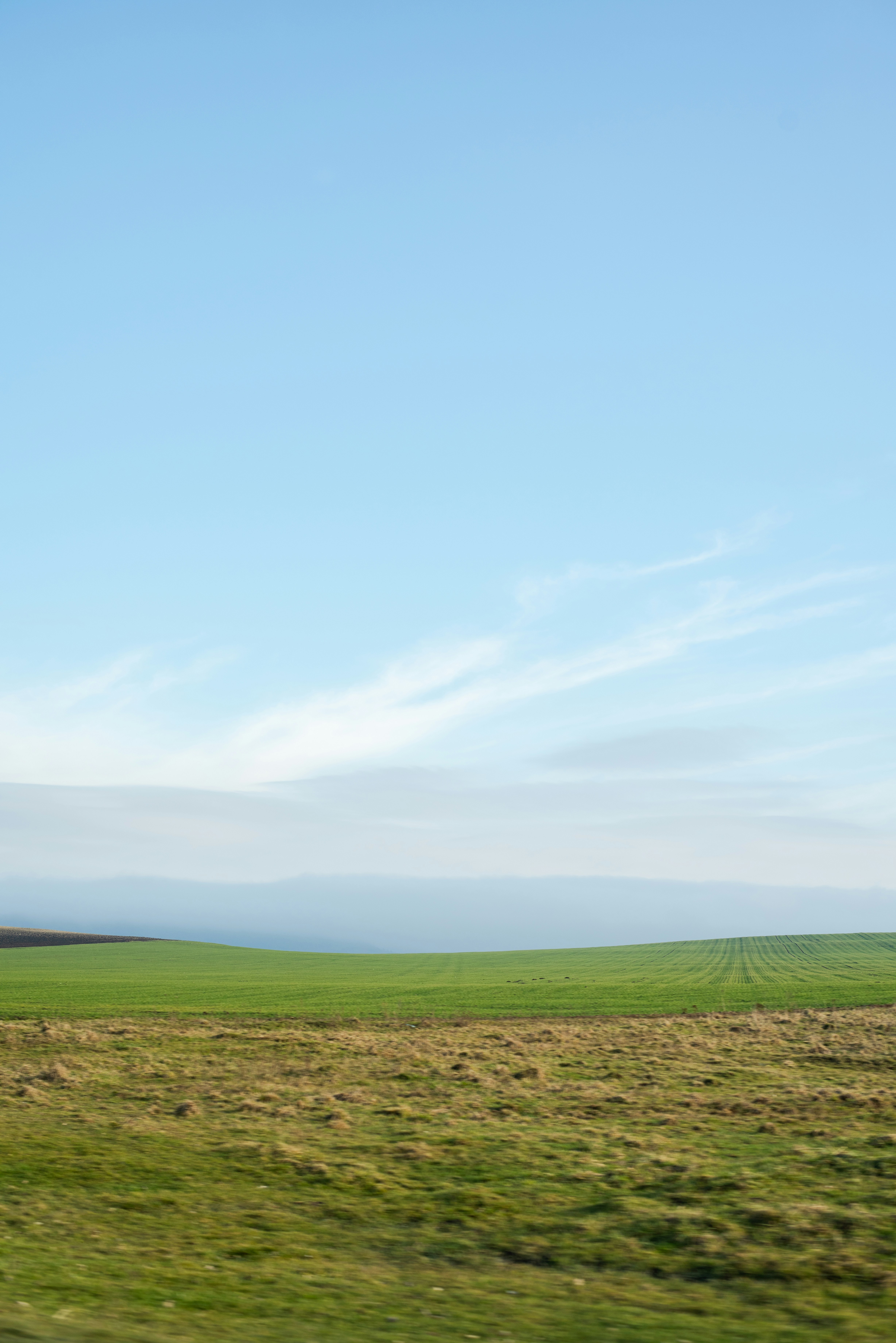 Photo by eugenivy_now