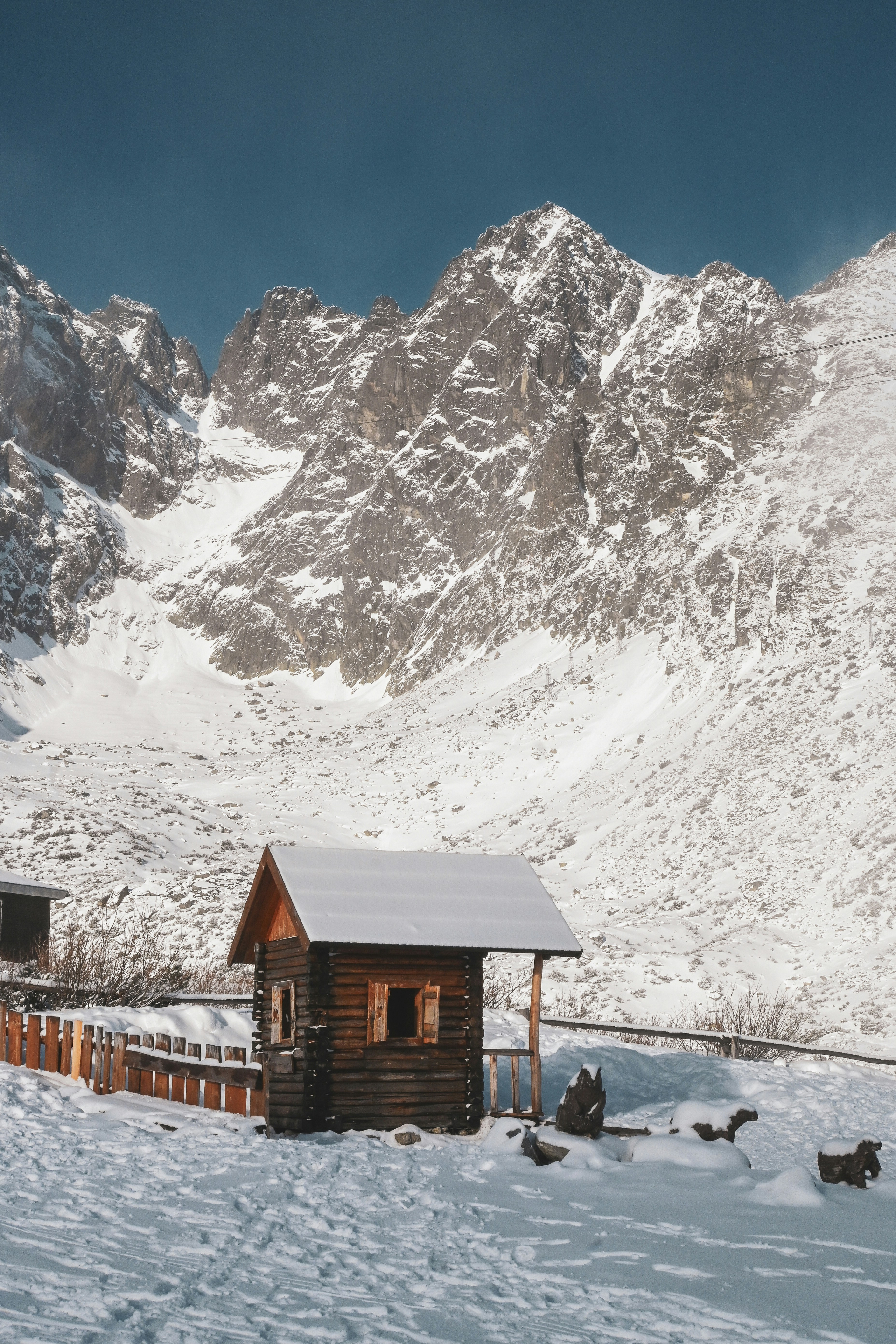 Photo by sylwiabartyzel