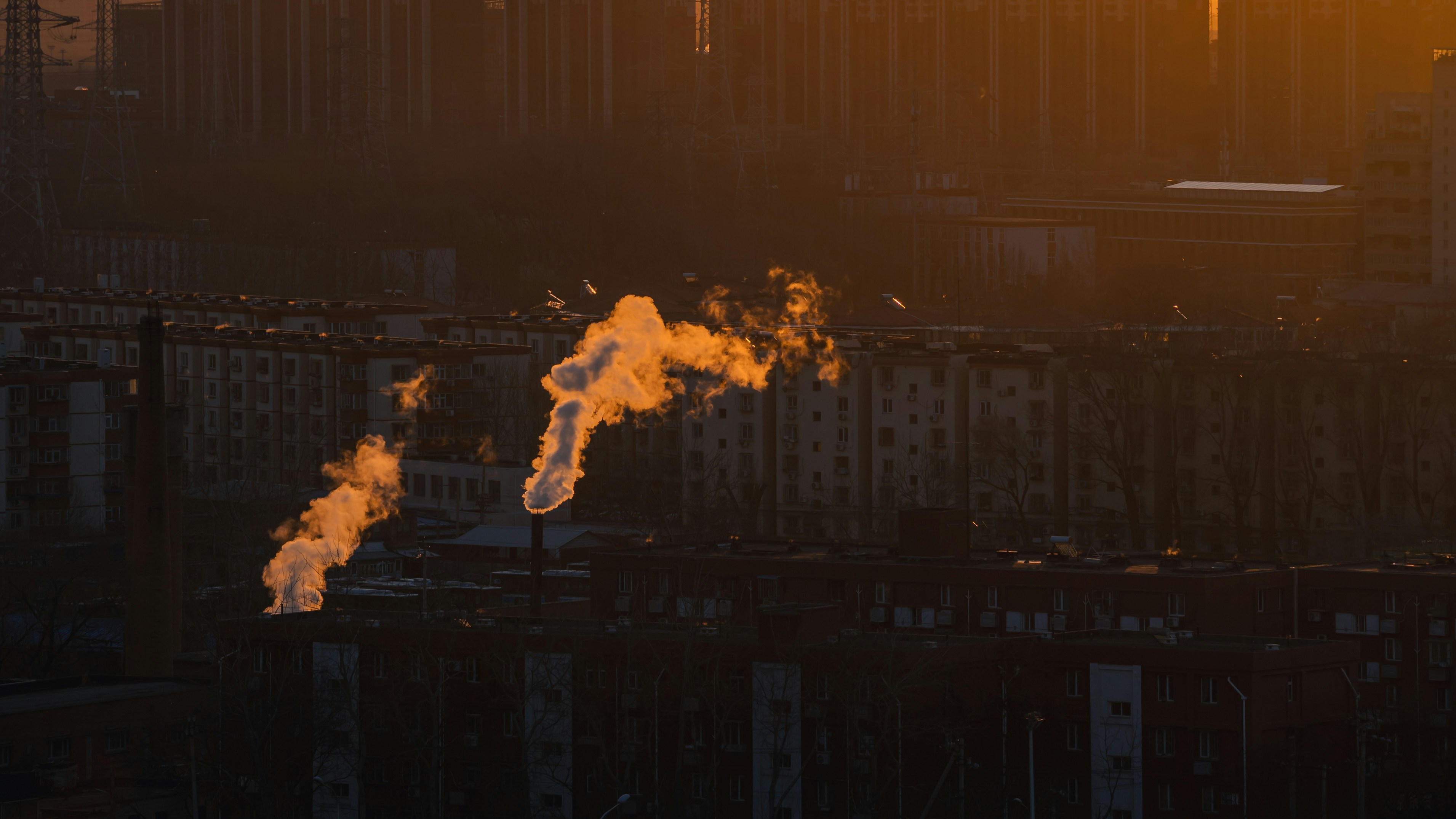 Photo by peek_a_boo_who