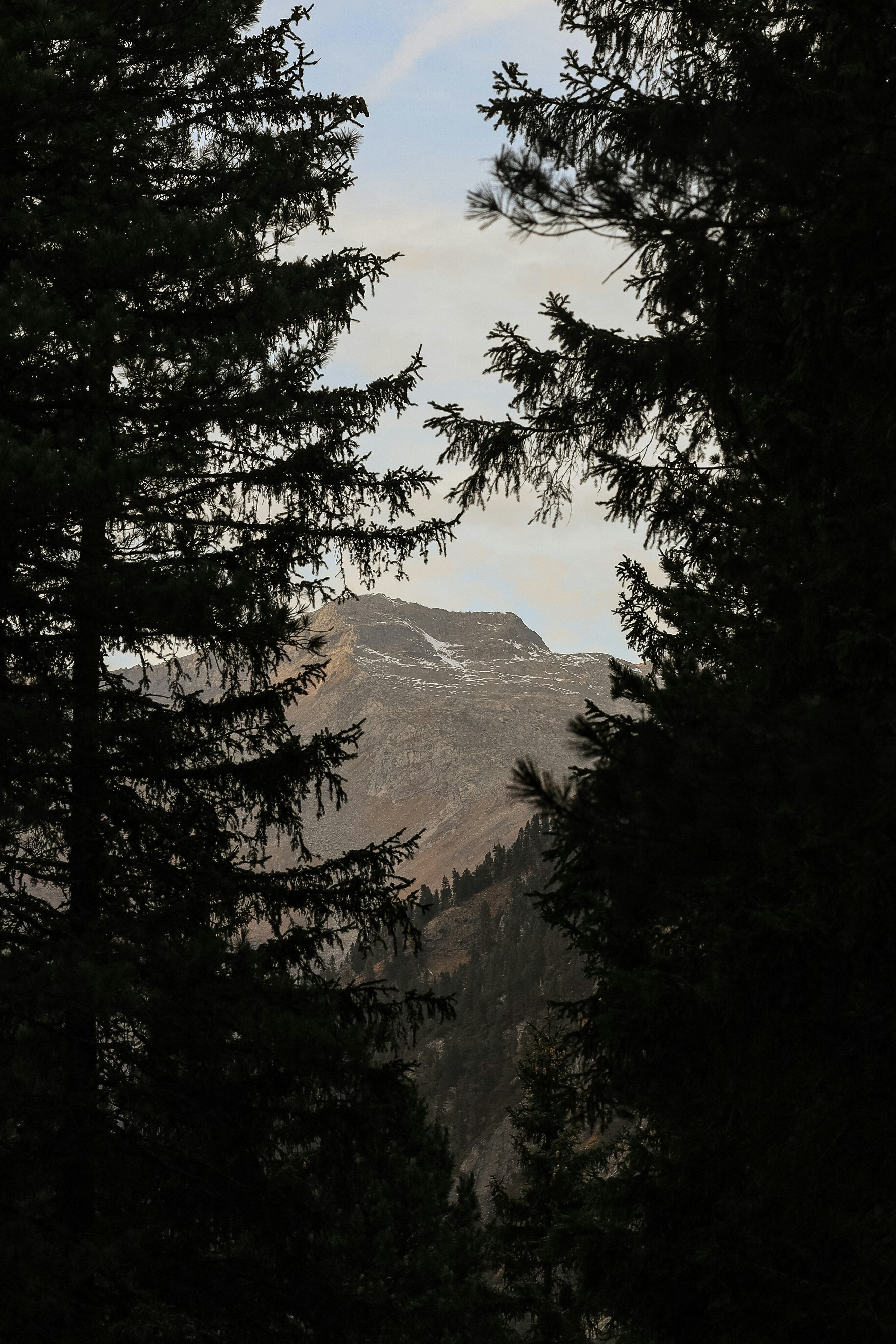 Photo by barcstamaas