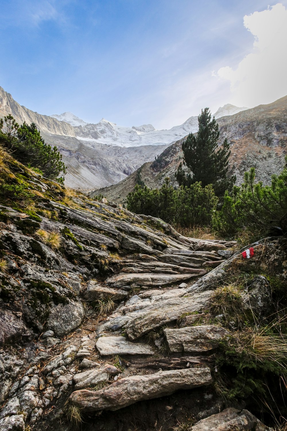 a rocky path in the mountains with a mountain in the background