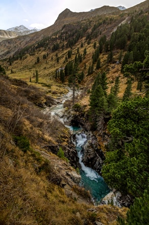 A picturesque mountain landscape features a winding turquoise river cutting through a rocky gorge. The slopes are dotted with evergreen trees and patches of dry grass, set against a backdrop of snow-capped peaks under a clear sky.