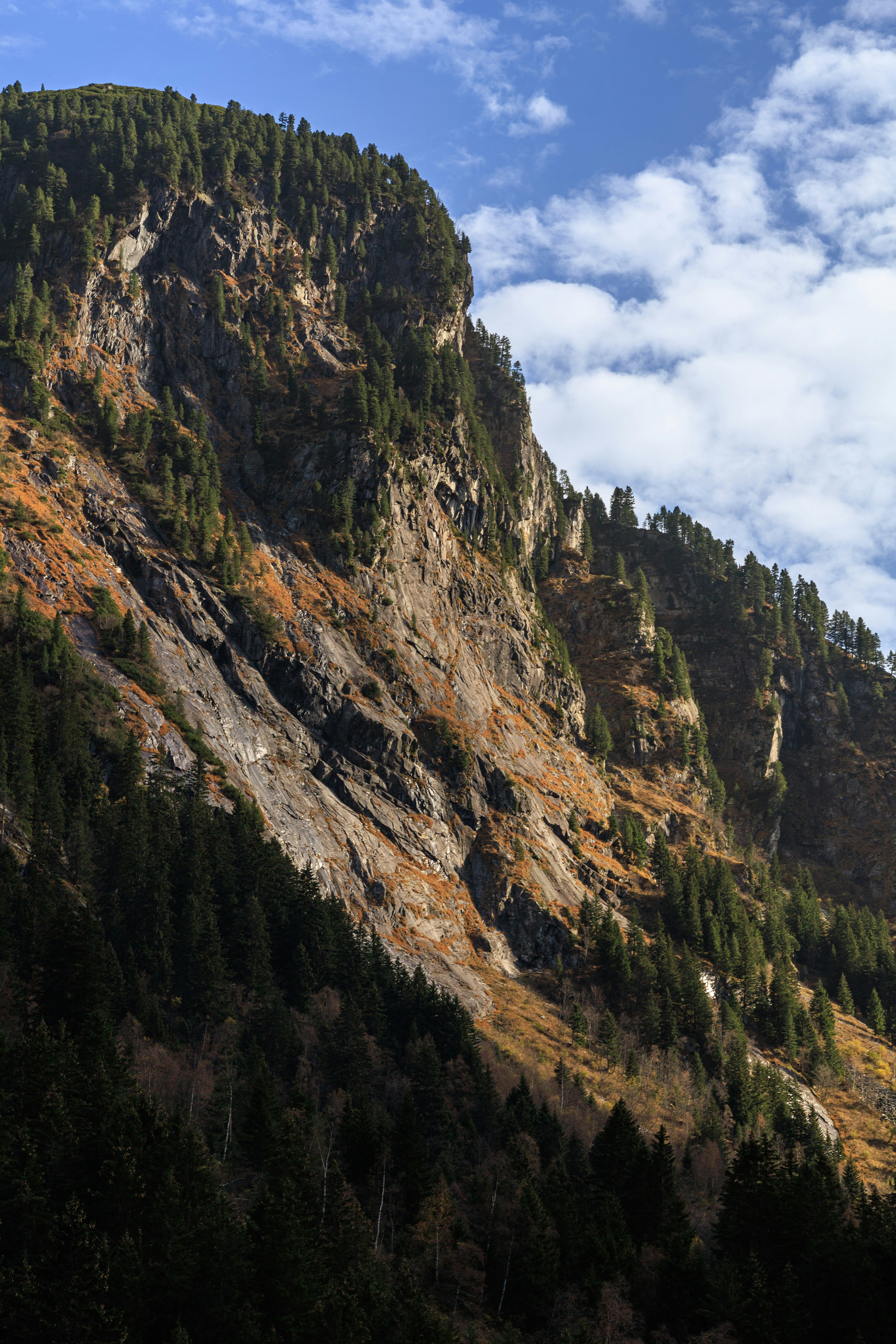 Photo by barcstamaas